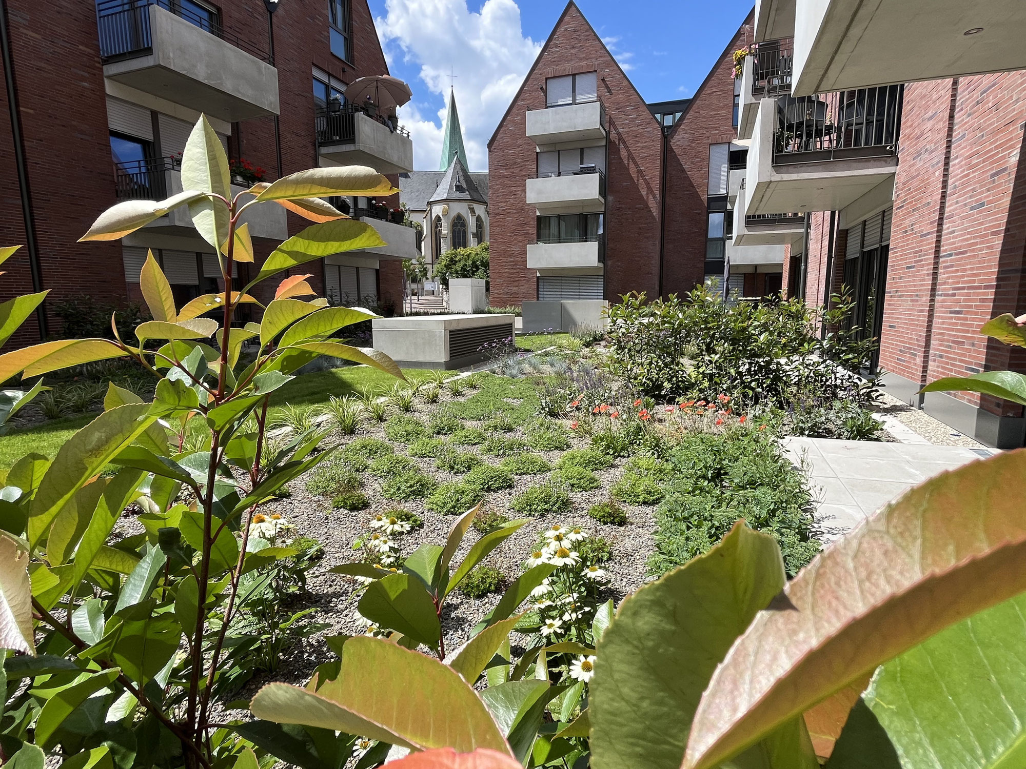 Tiefgaragenbegrünung - Biodiversitäts-Gründach