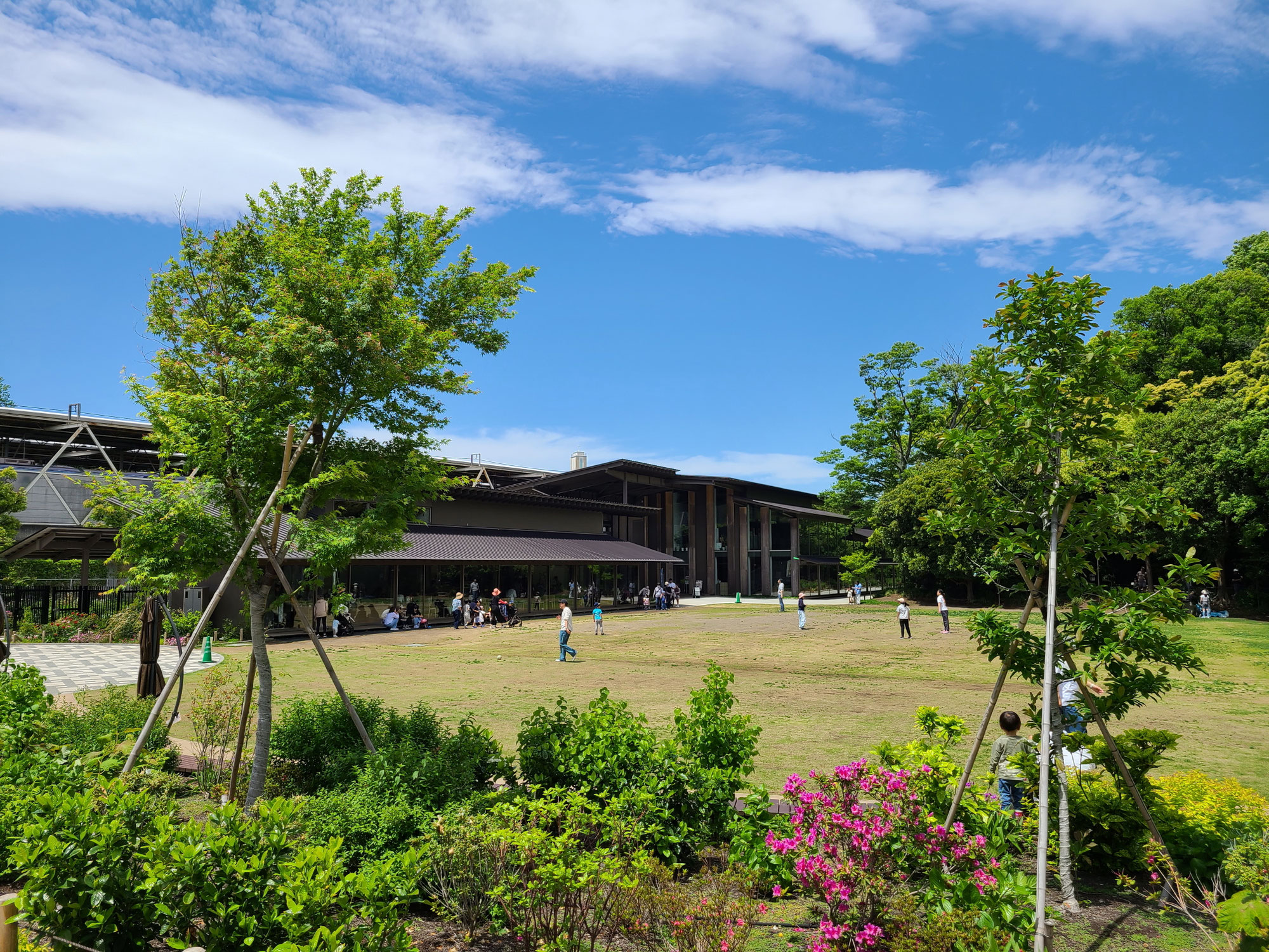 田園調布せせらぎ公園視察レポート／自然と公共空間に学ぶ経営