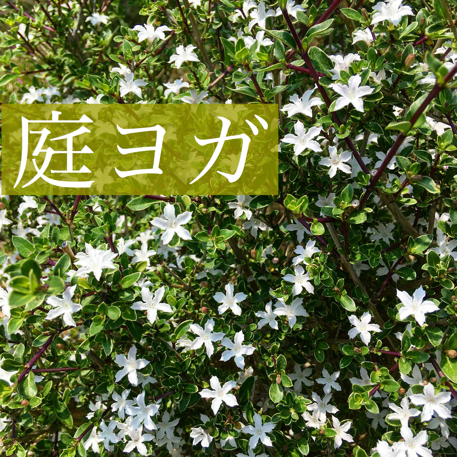 久々にYoutubeに動画UP