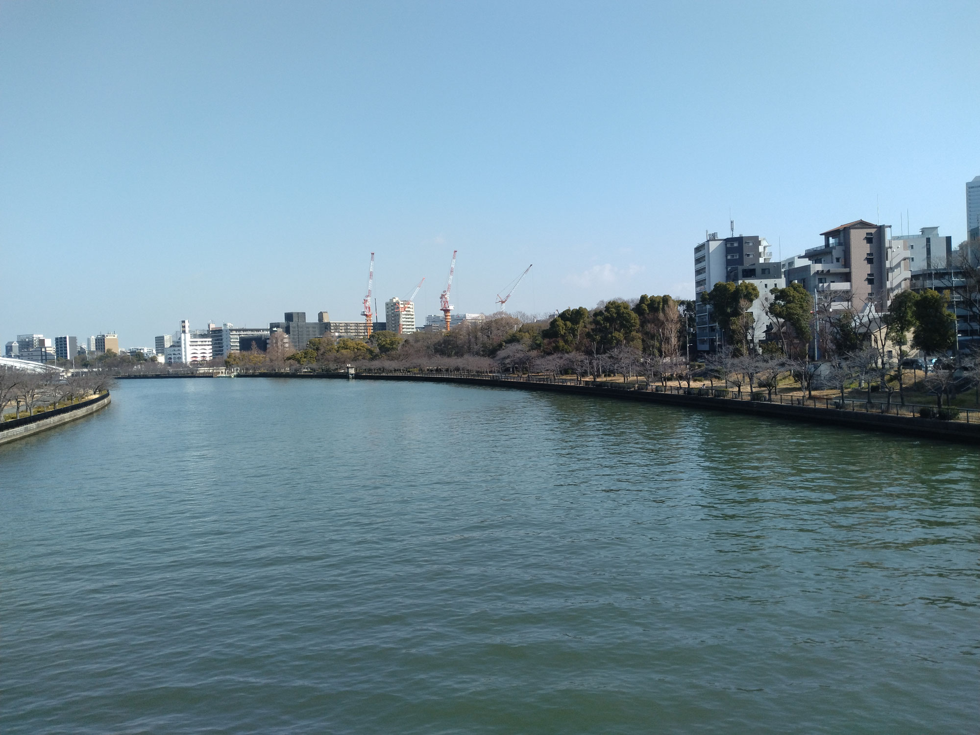 淀の陽だまり　　第七回  『心中天の網島』