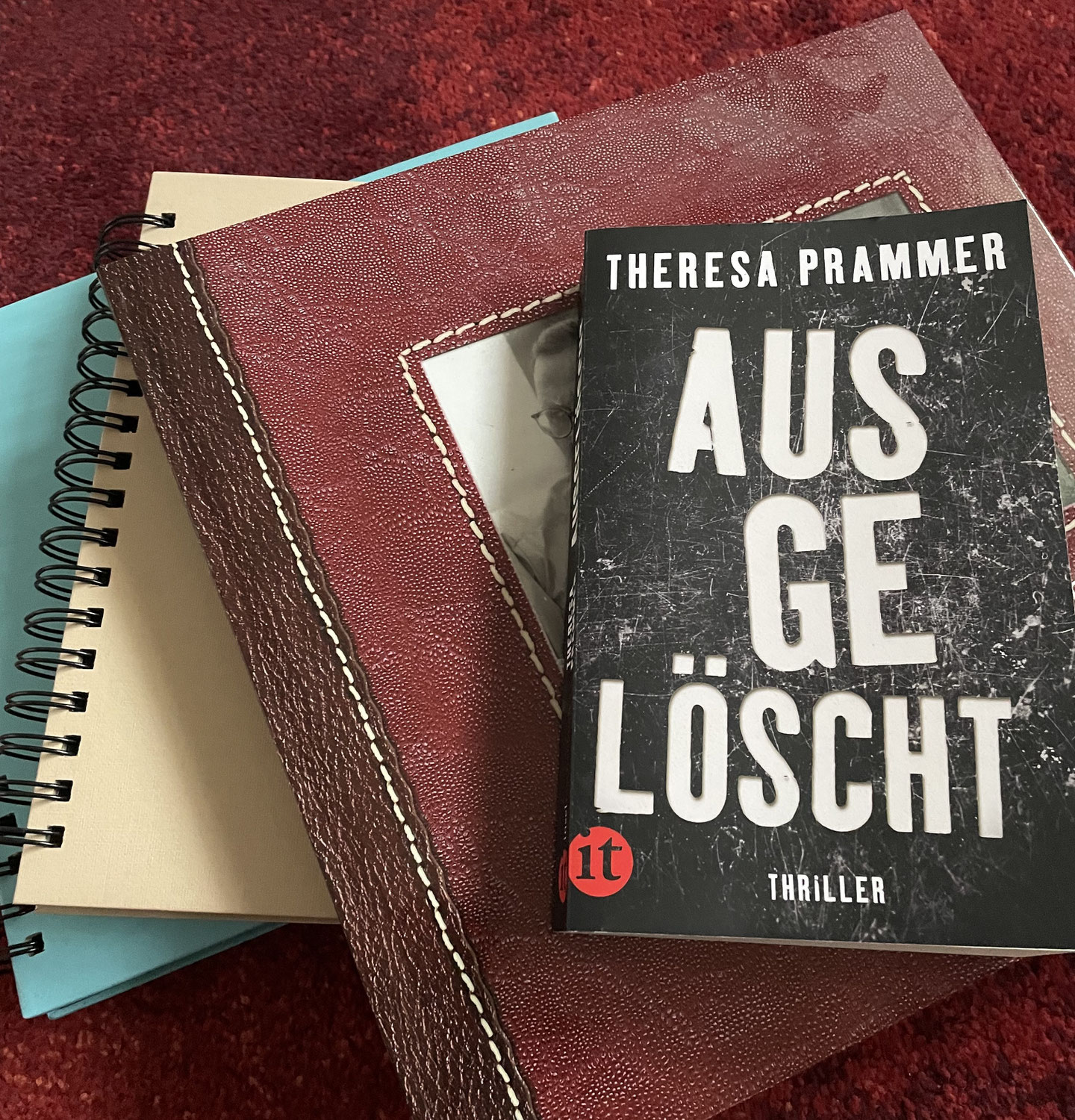 "Ausgelöscht" von Theresa Prammer