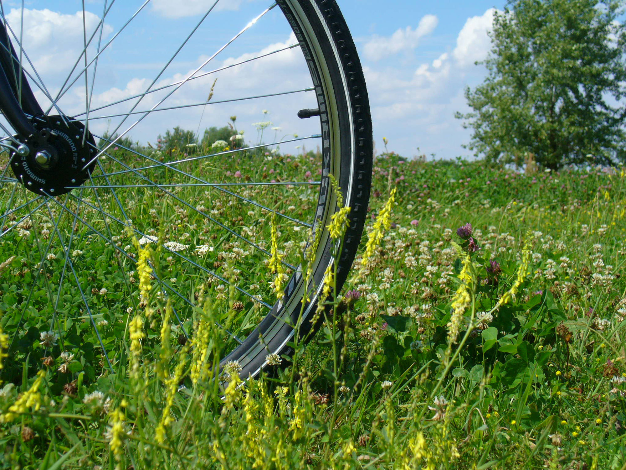 frankreich mit dem fahrrad