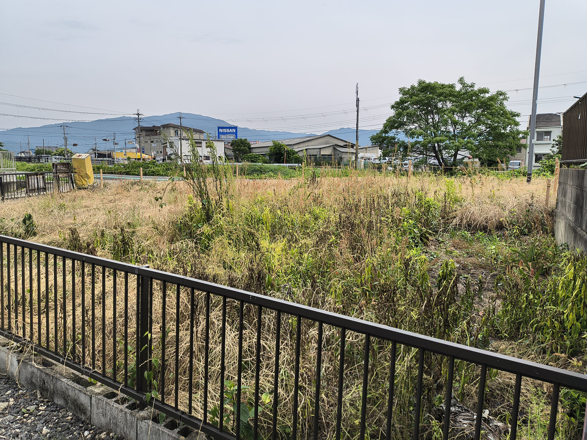 雑草対策の実際⑤　　除草剤の使用について