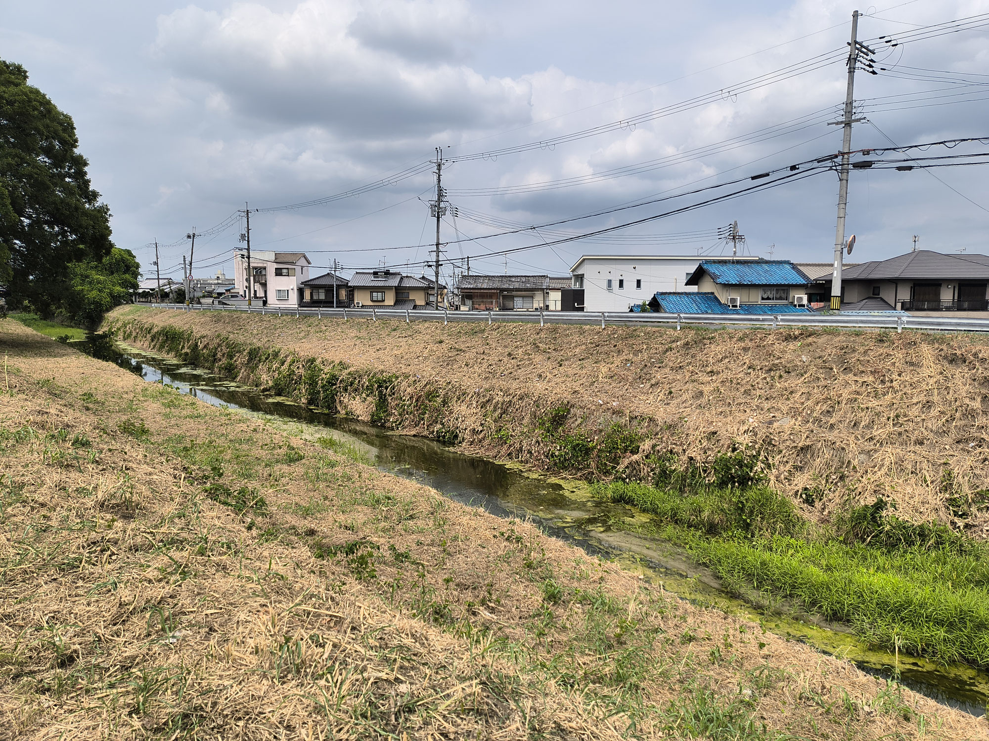 雑草対策の実際　　余話として
