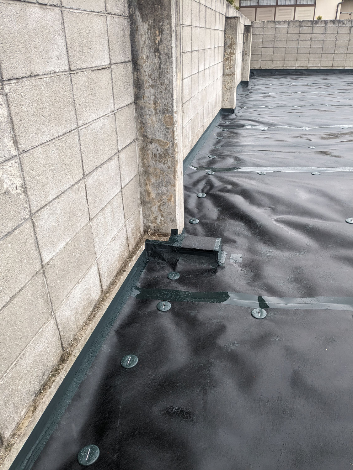 雑草対策の実際②　　費用対効果が難しいポイントに…