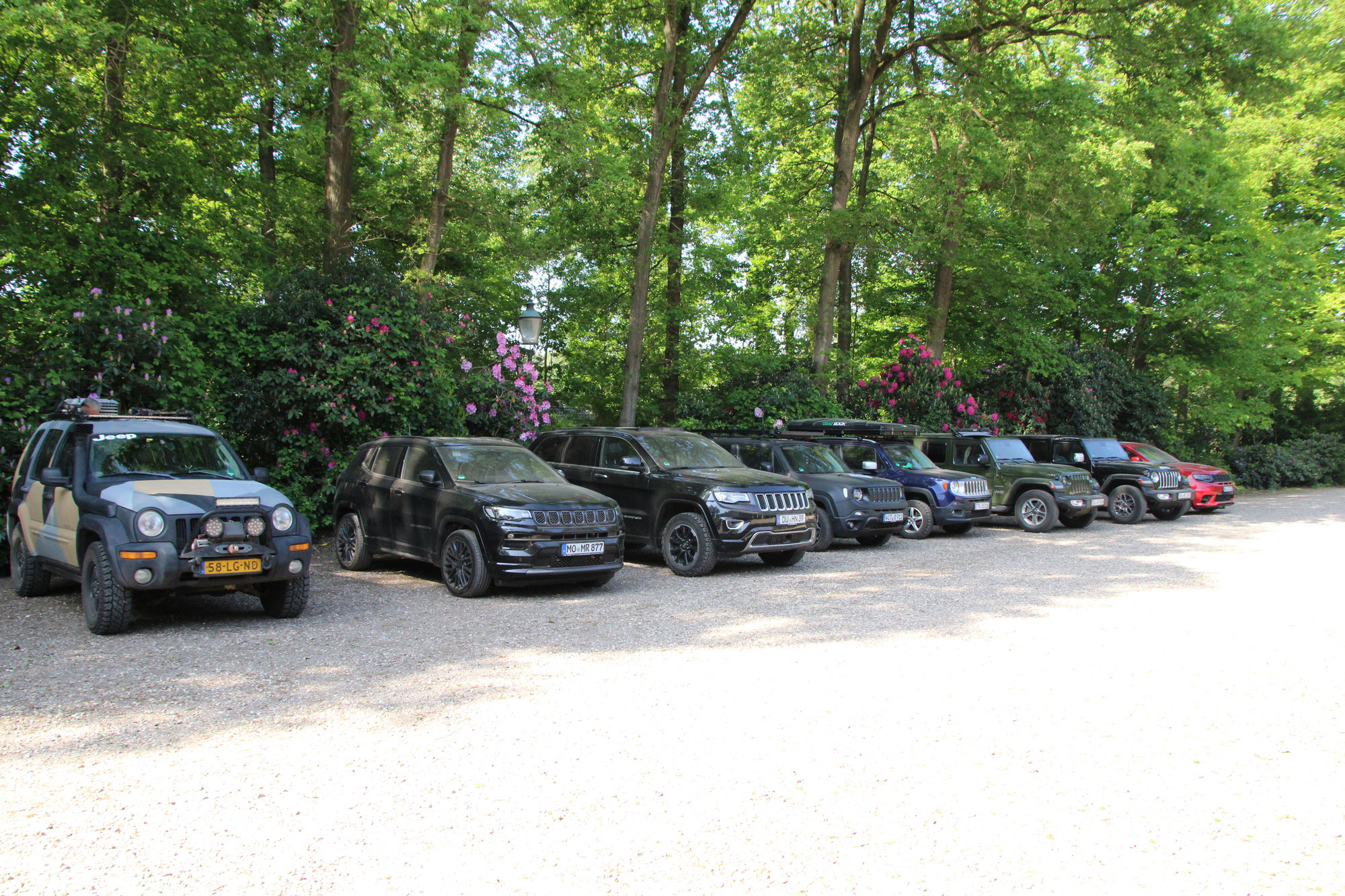 Dutch Woodlands mit Jeep Experience