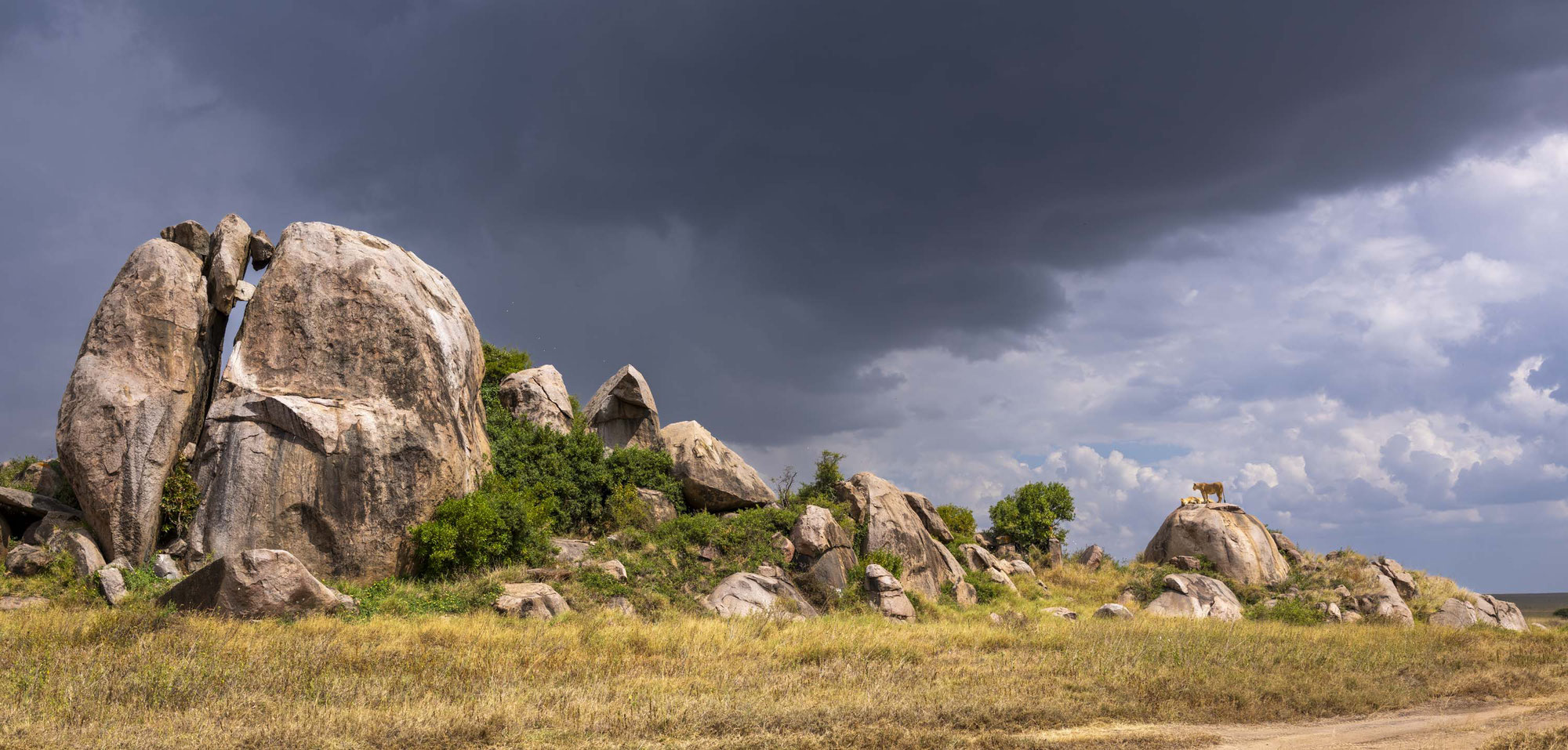 Serengeti Tour Juni 2025