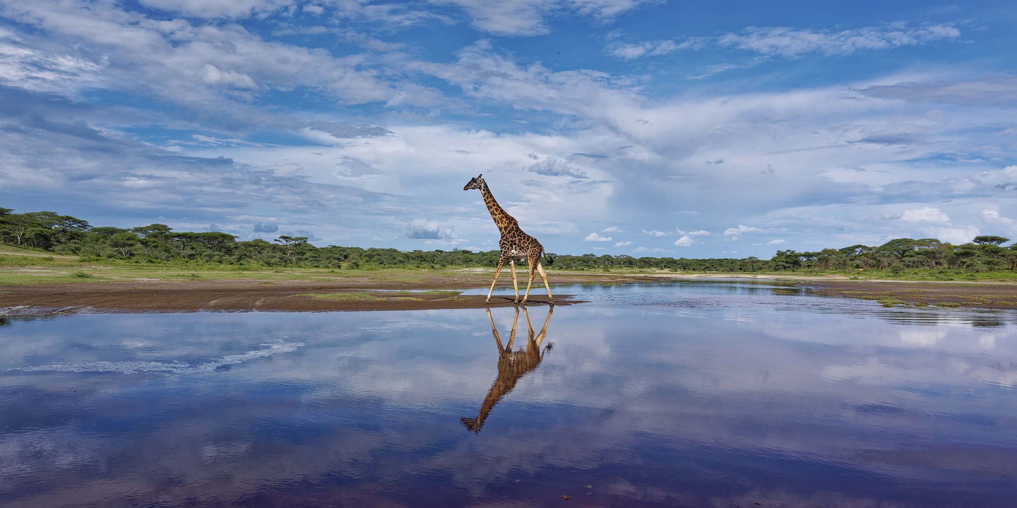 Serengeti Frühjahrs-Tour 2026