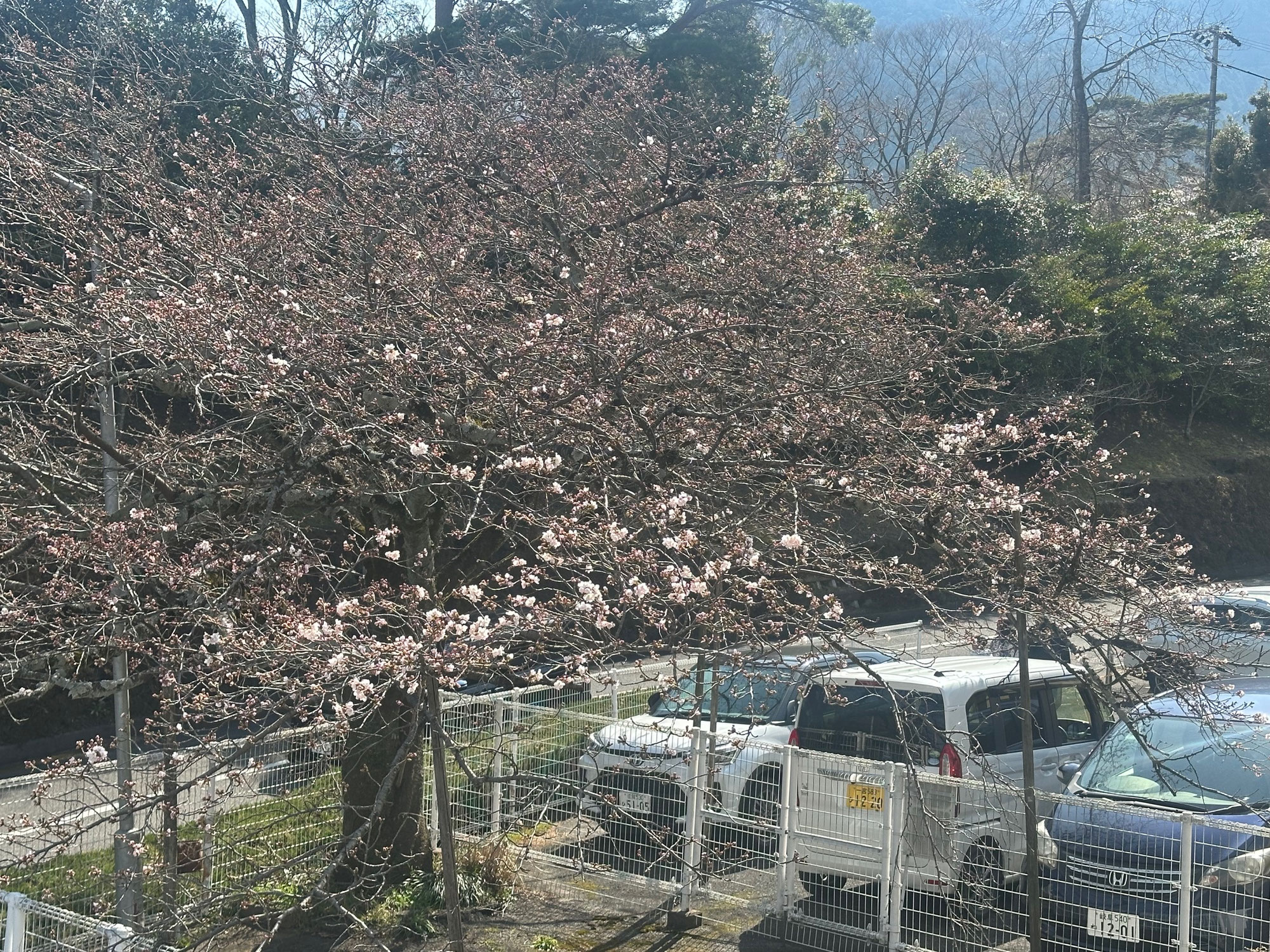 ちょっと気になる49