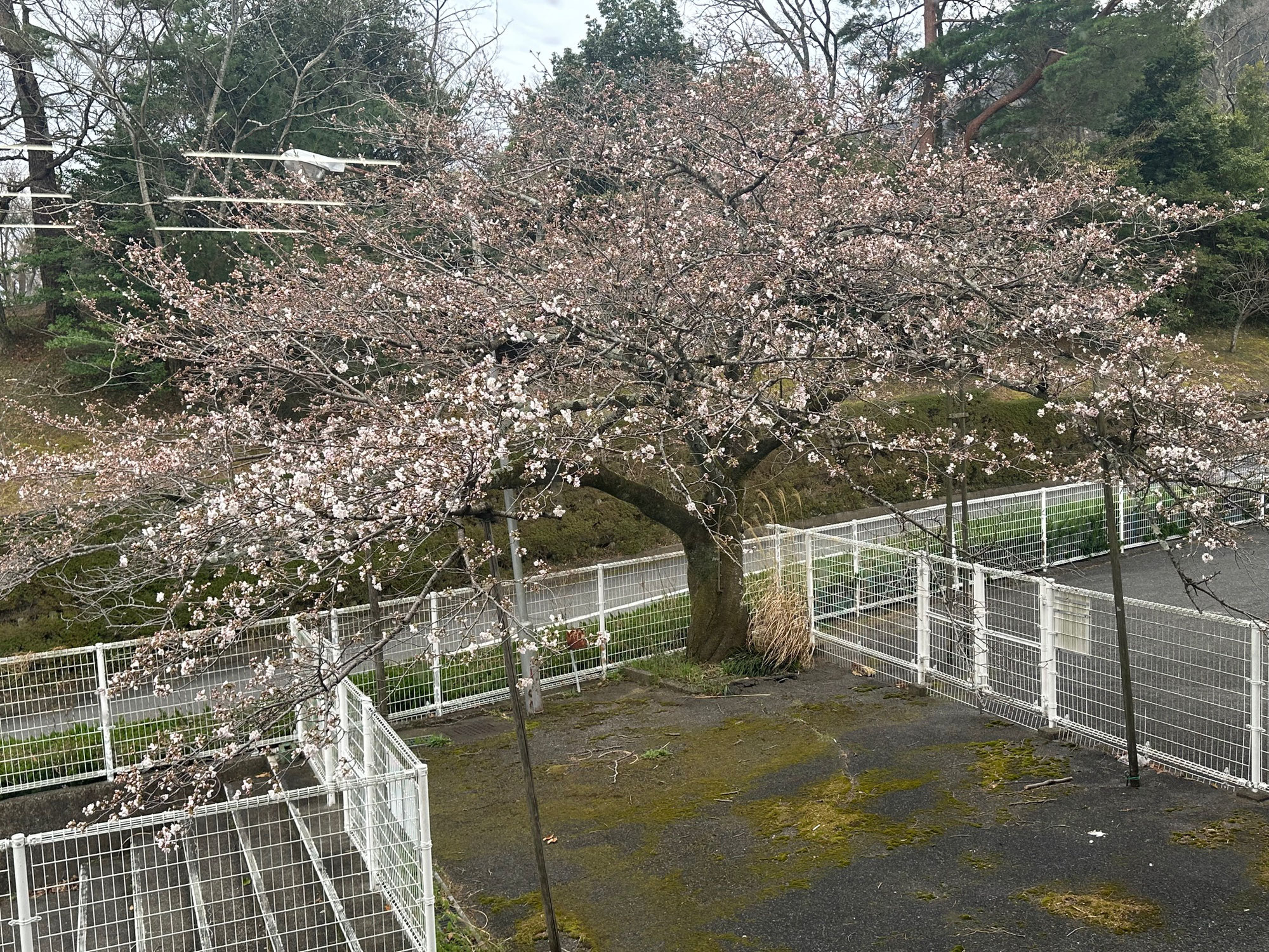 ちょっと気になる44