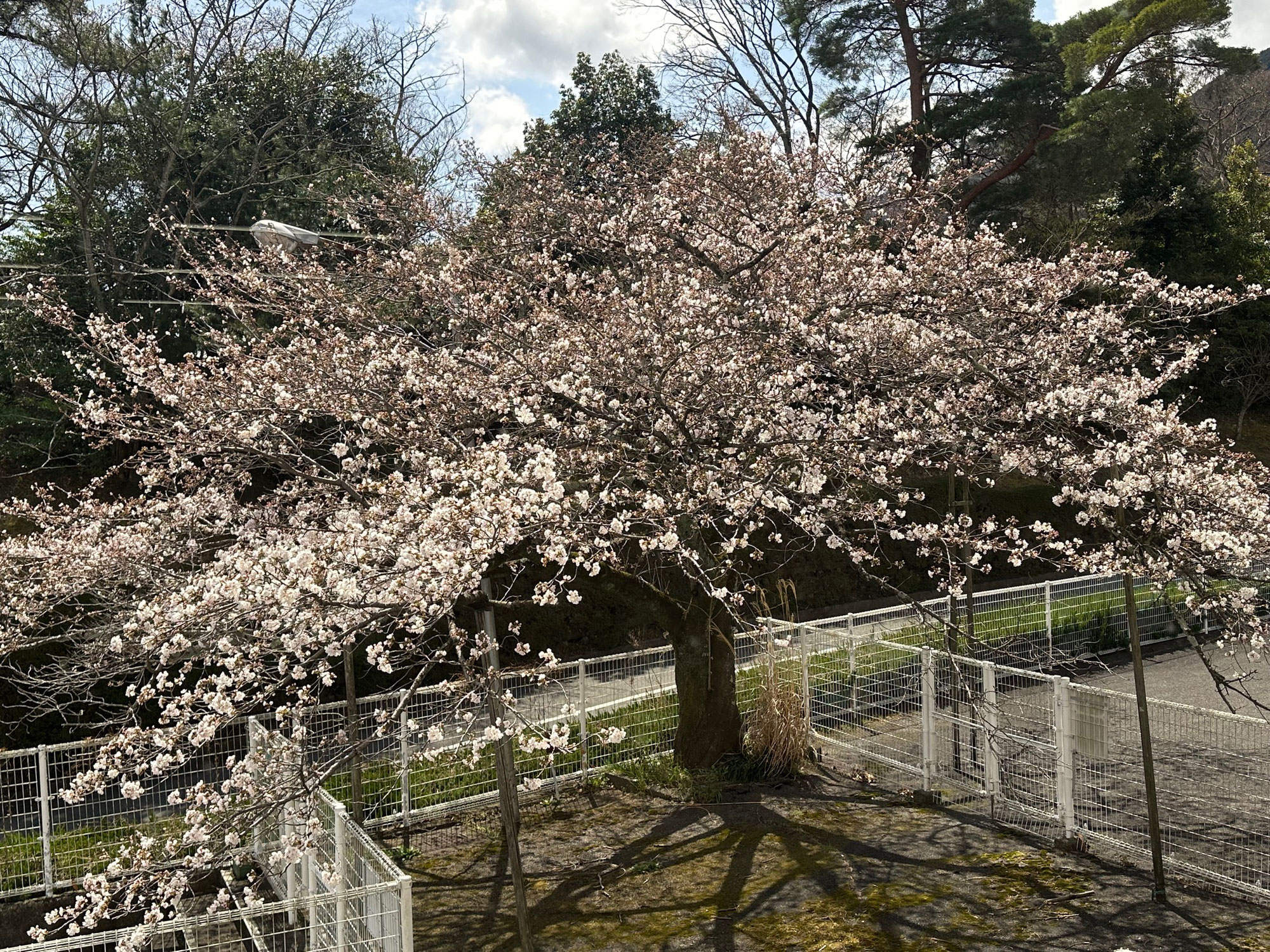 ちょっと気になる45