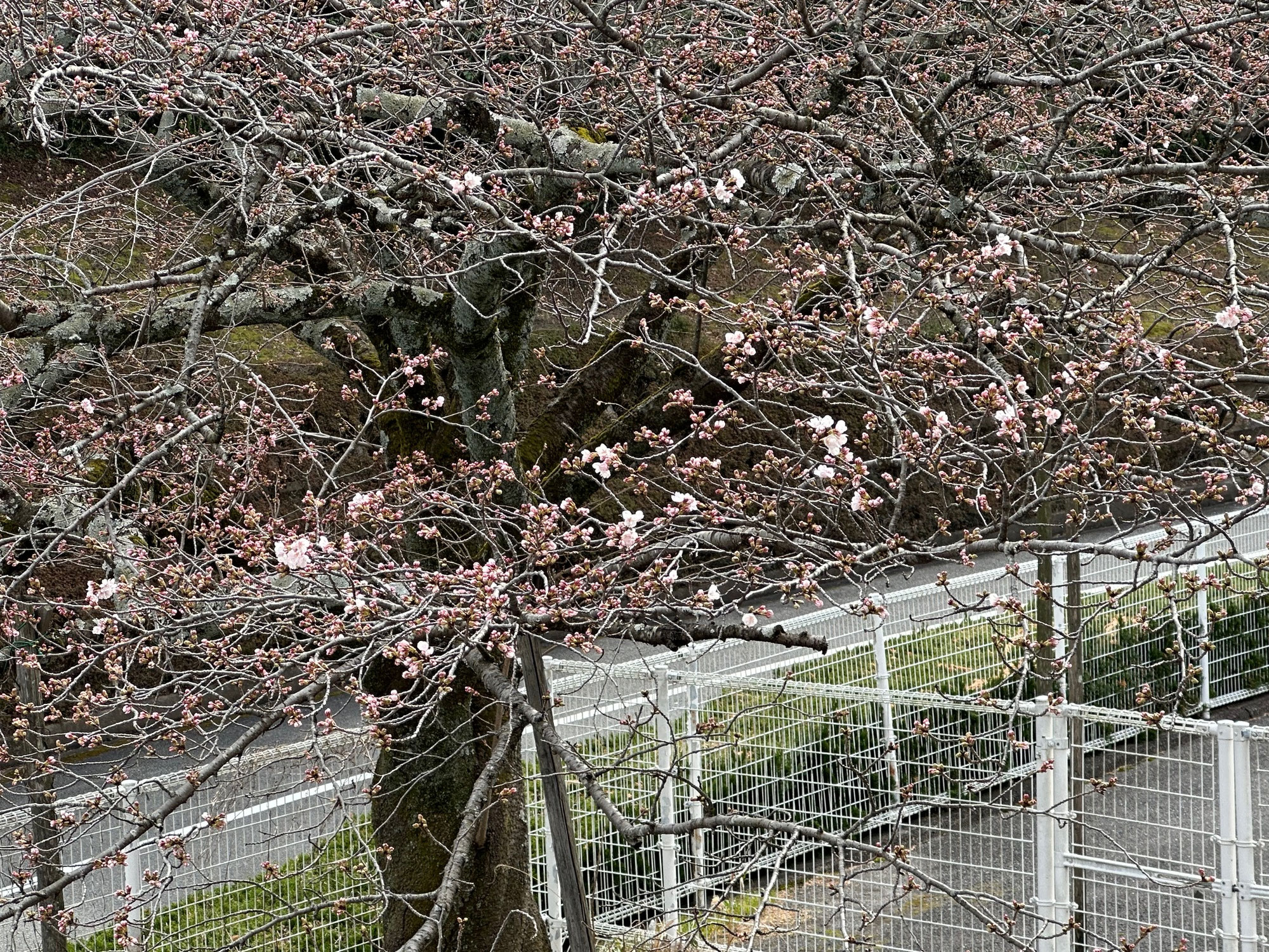 ちょっと気になる48