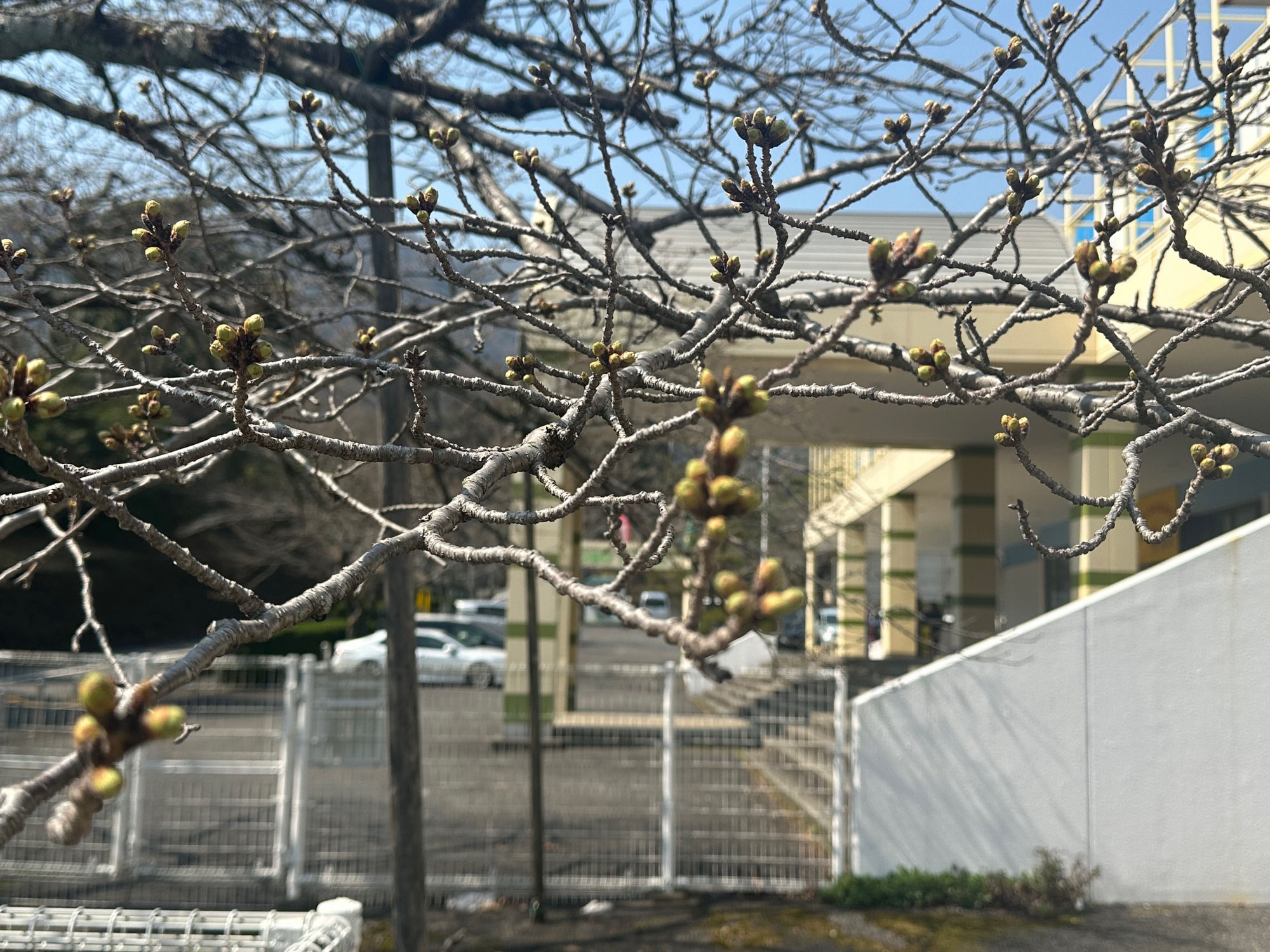ちょっと気になる41