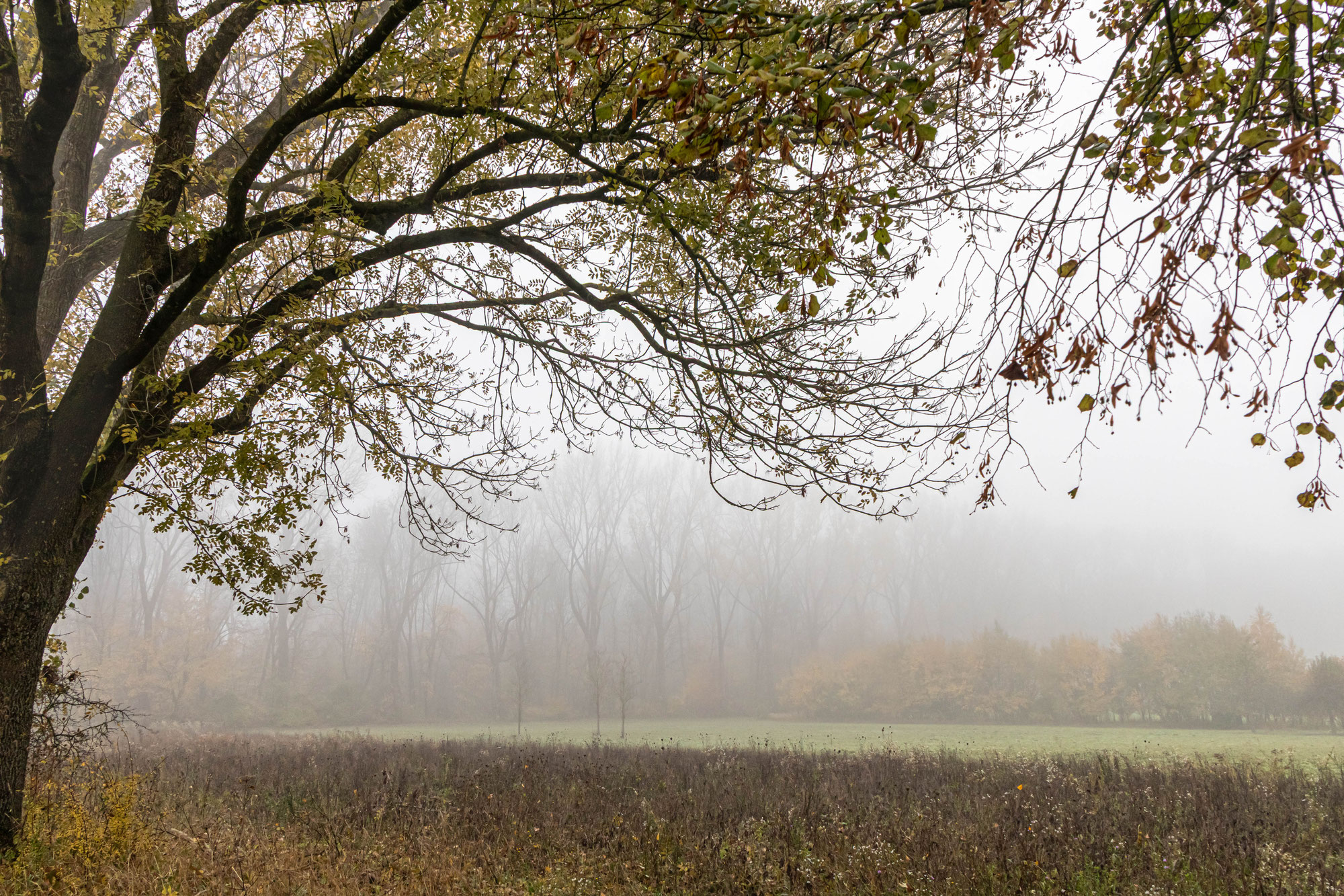Wandern in Bayern 2
