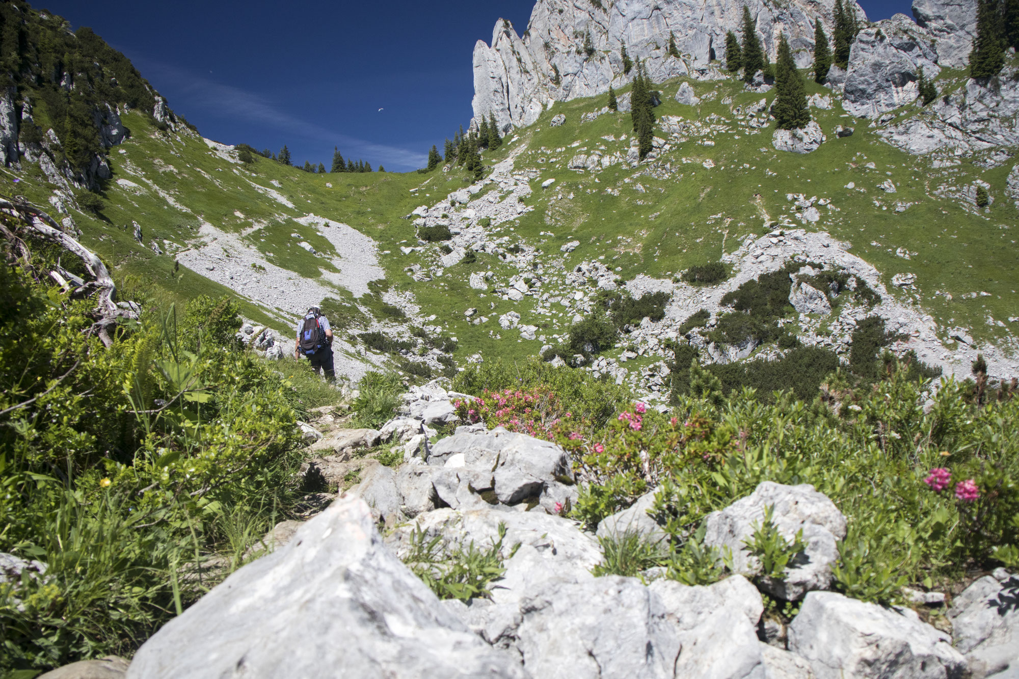 Wandern in Bayern 1