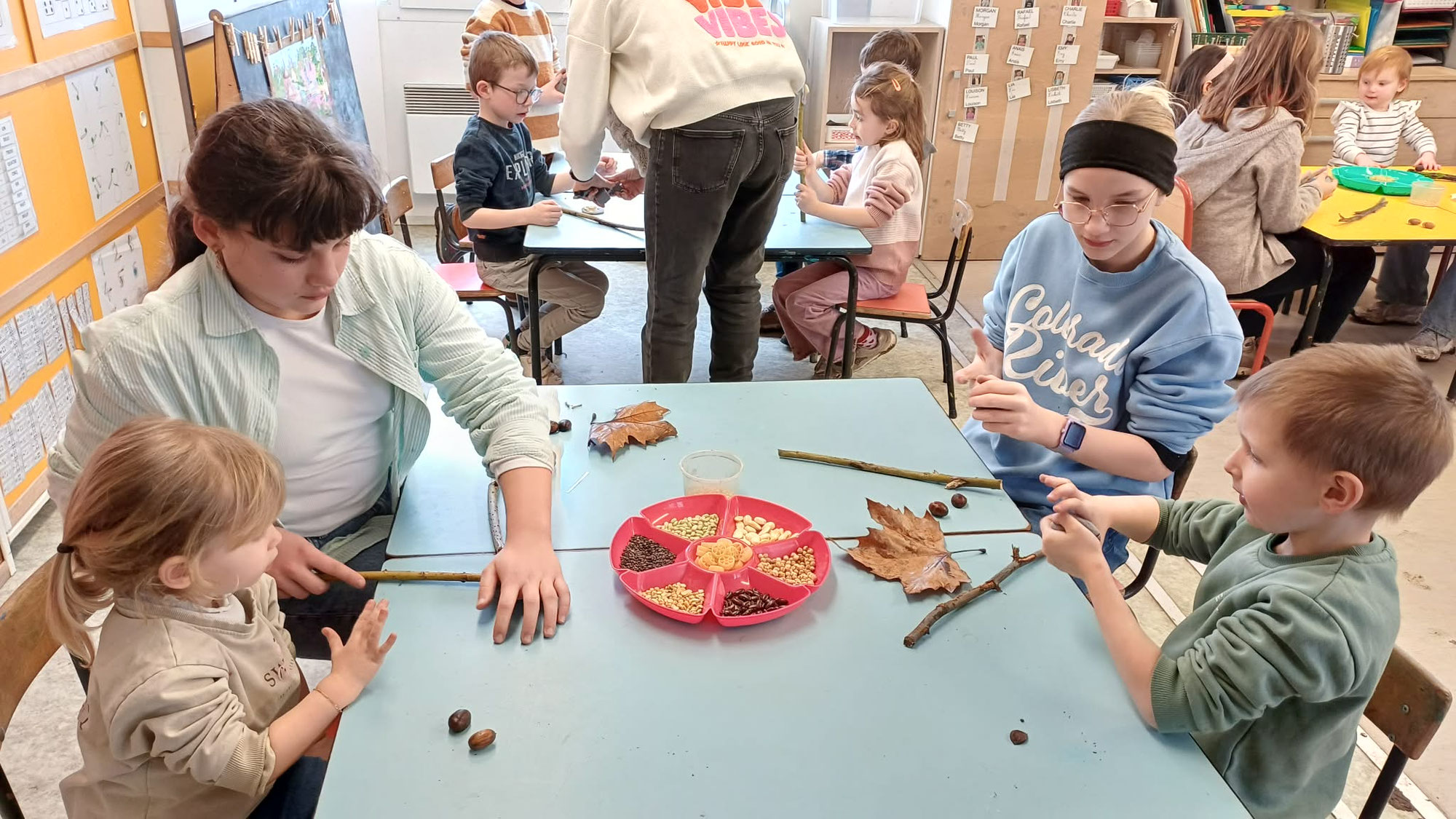 Retour des ateliers verticaux 