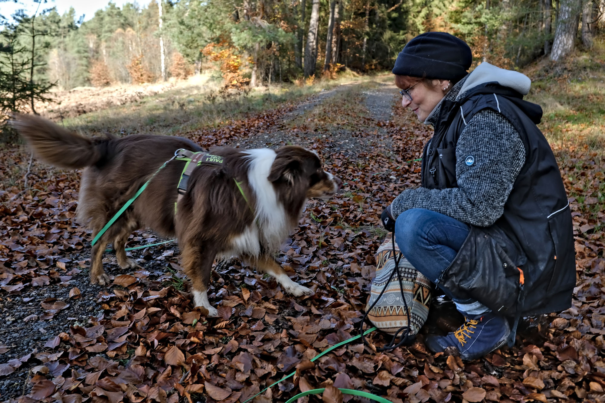 Workshop: Hunde verstehen - Achtsames Führen
