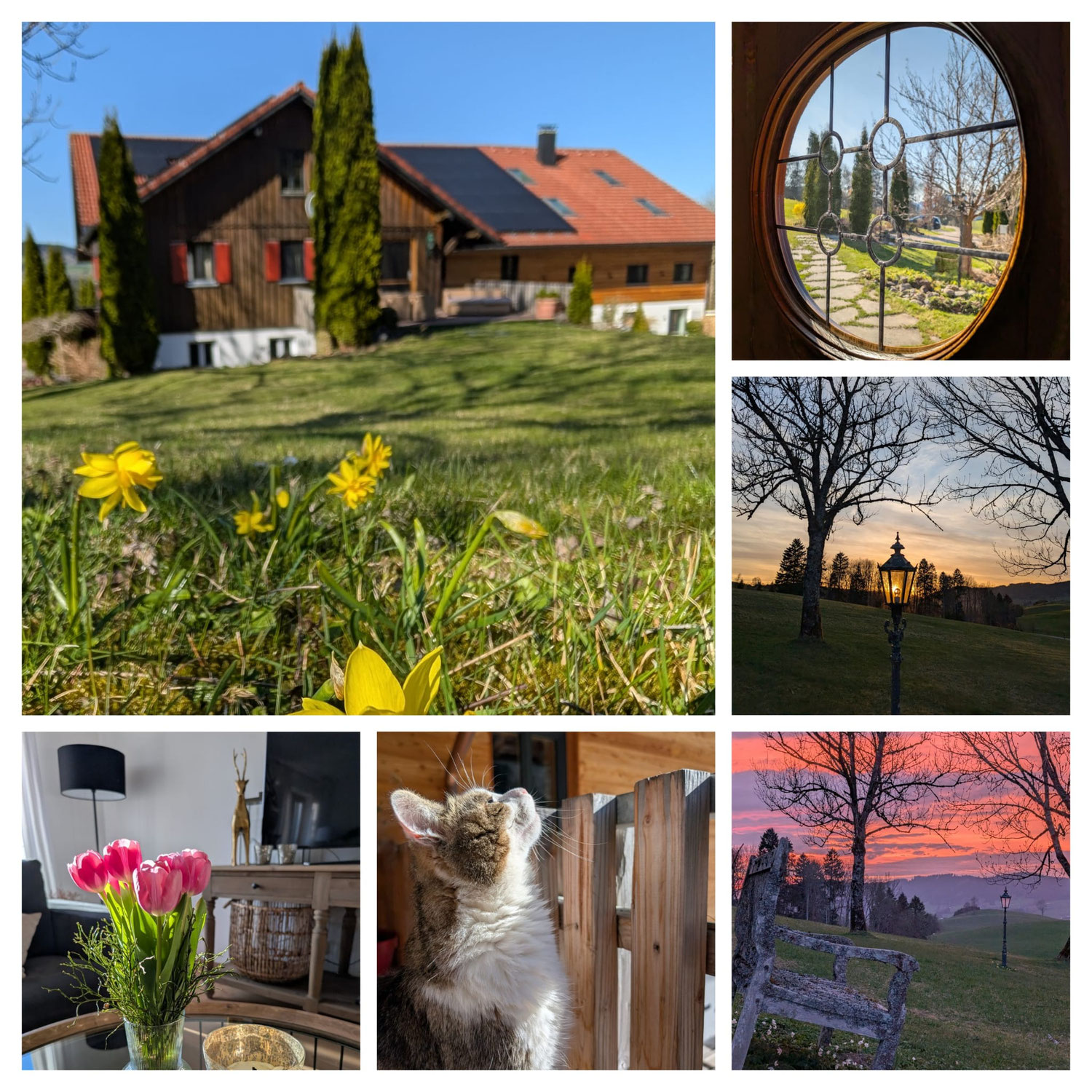 Allgäu
