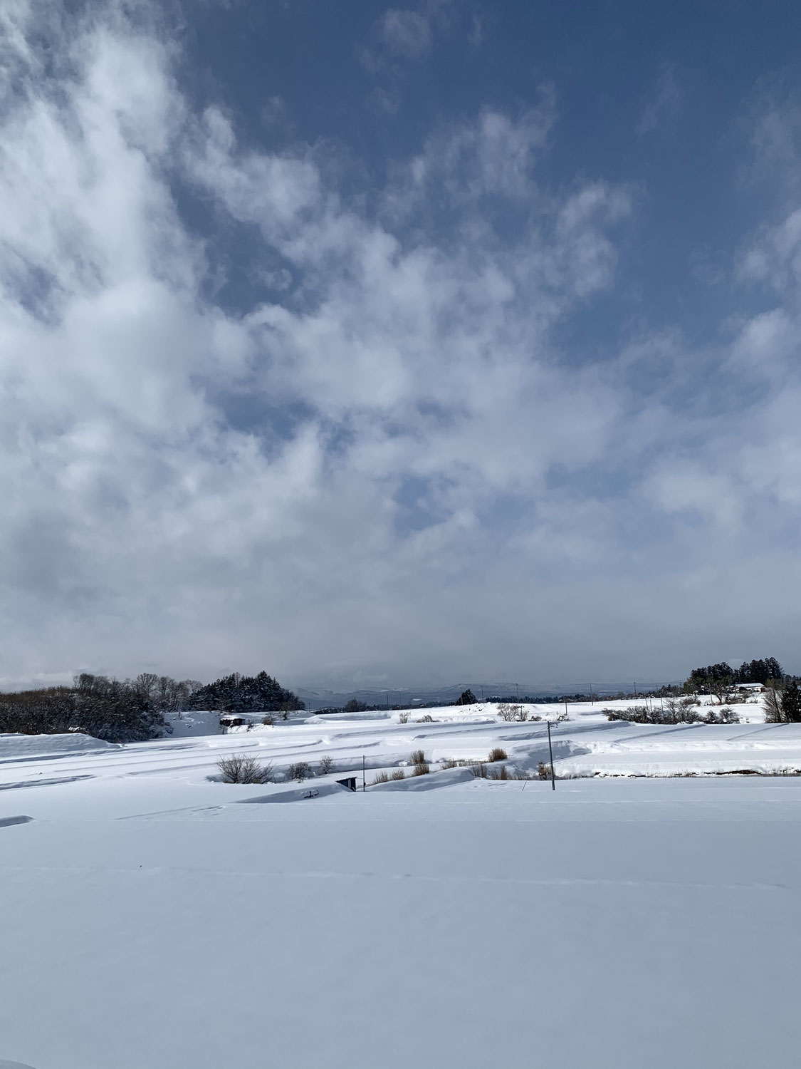 本年もよろしくお願いいたします