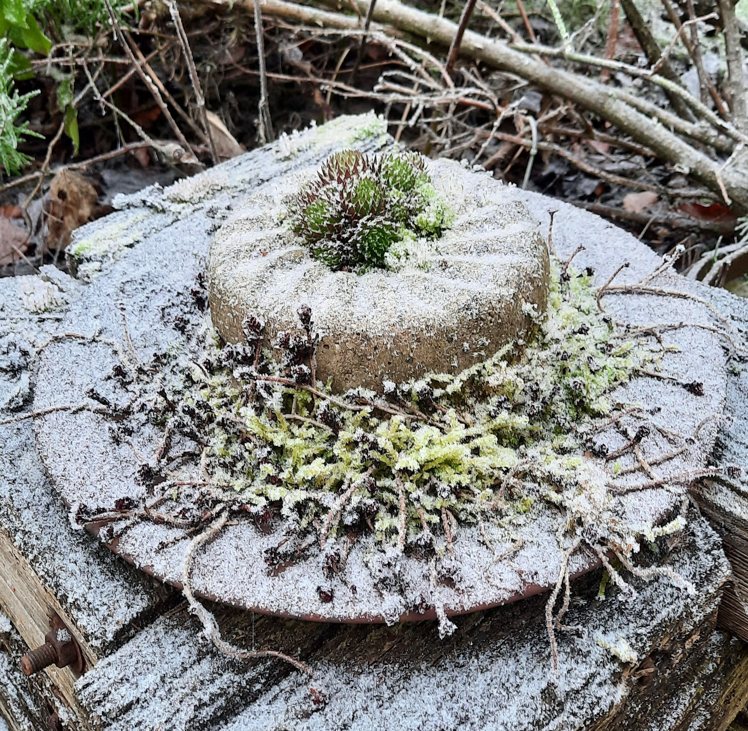 Neu beginnen
