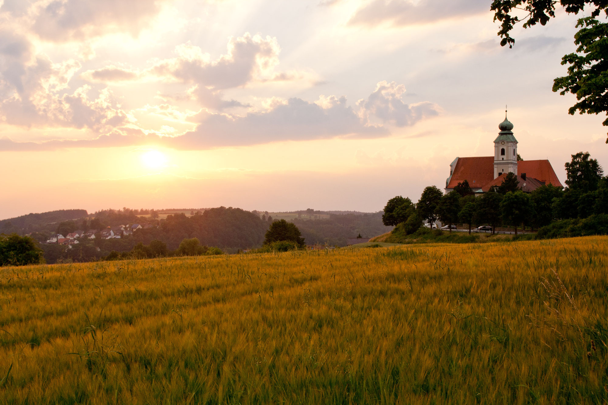 Erfahrungsberichte Kalbsfußbrühe - Hildegard Kalbsfußbrühe - Natürlich
