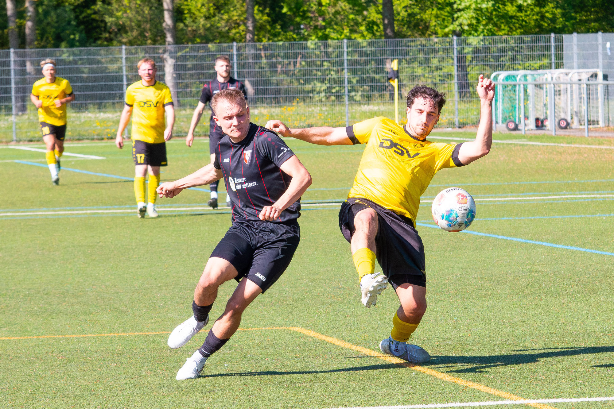 Harmlose Steinacher unterliegen Sulz