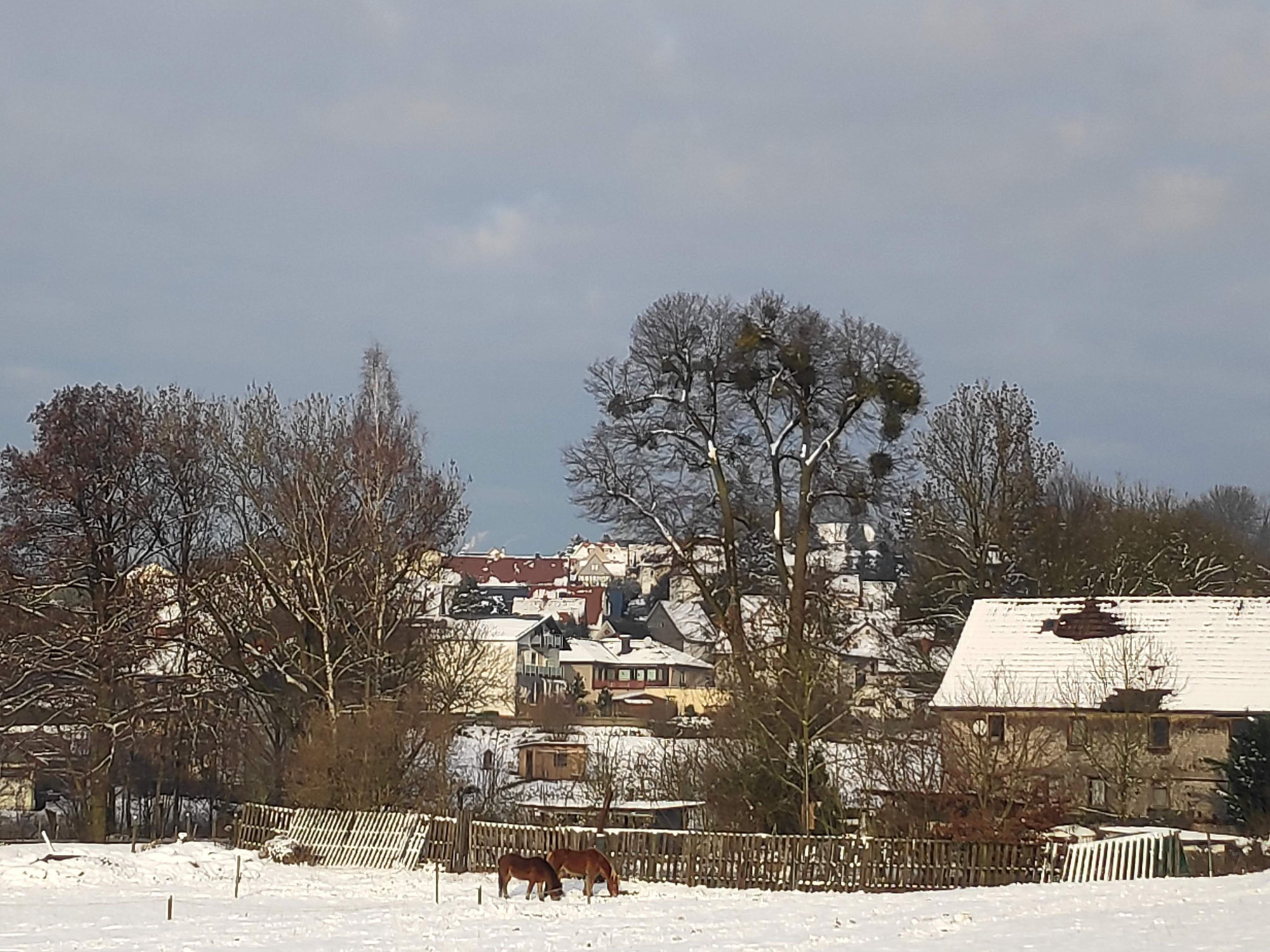 Wir starten in 2021