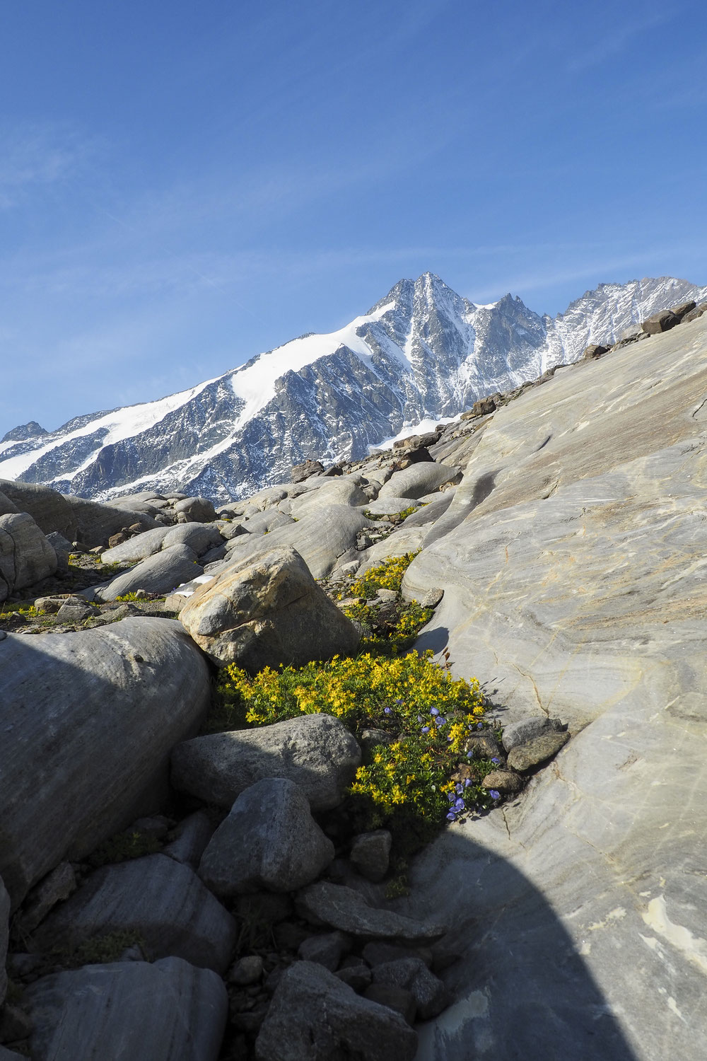 Alpenüberquerung zu Fuß mit Zelt 2017