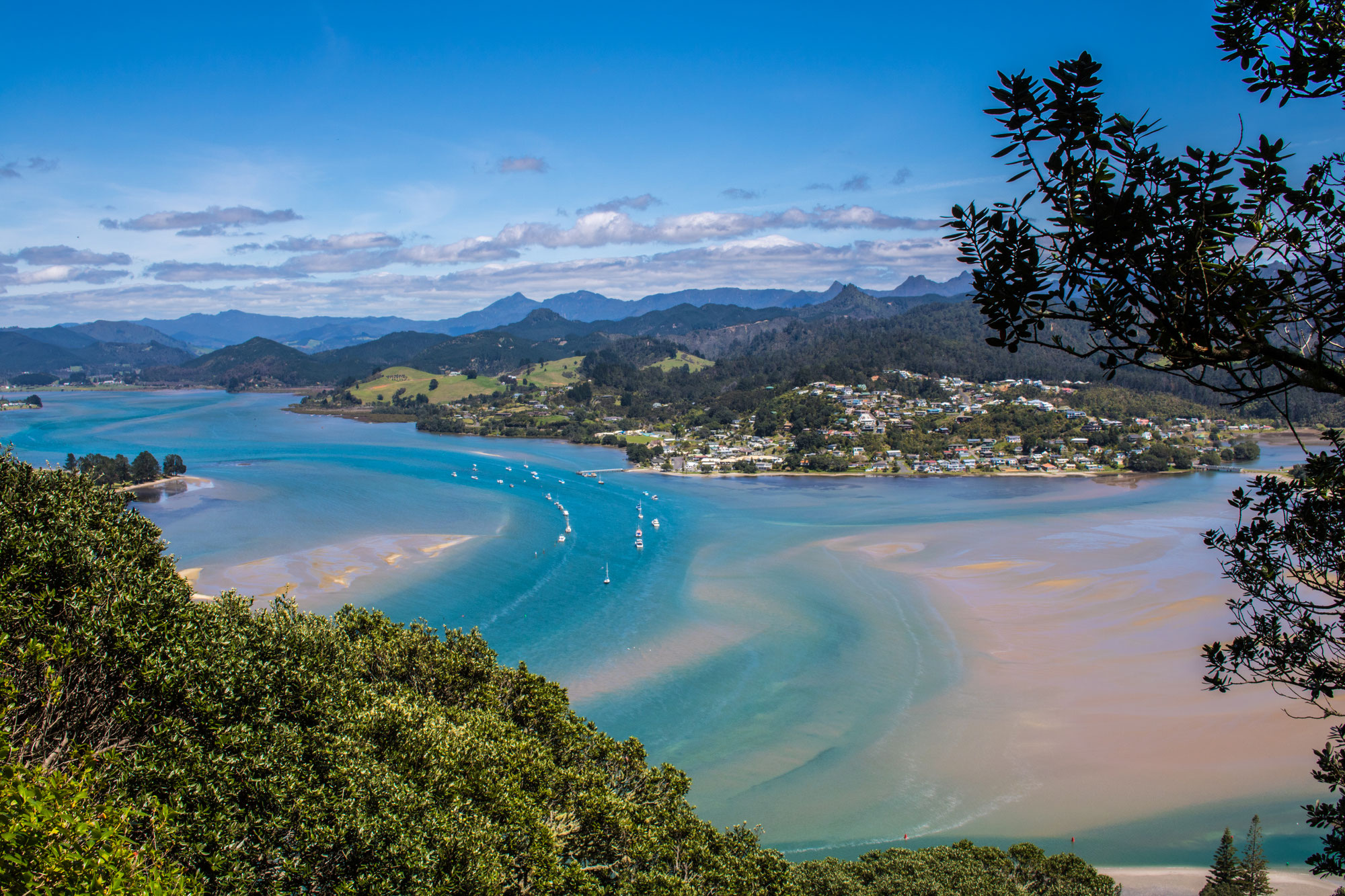 Pauanui Beach New Zealand Experience Pauanui site