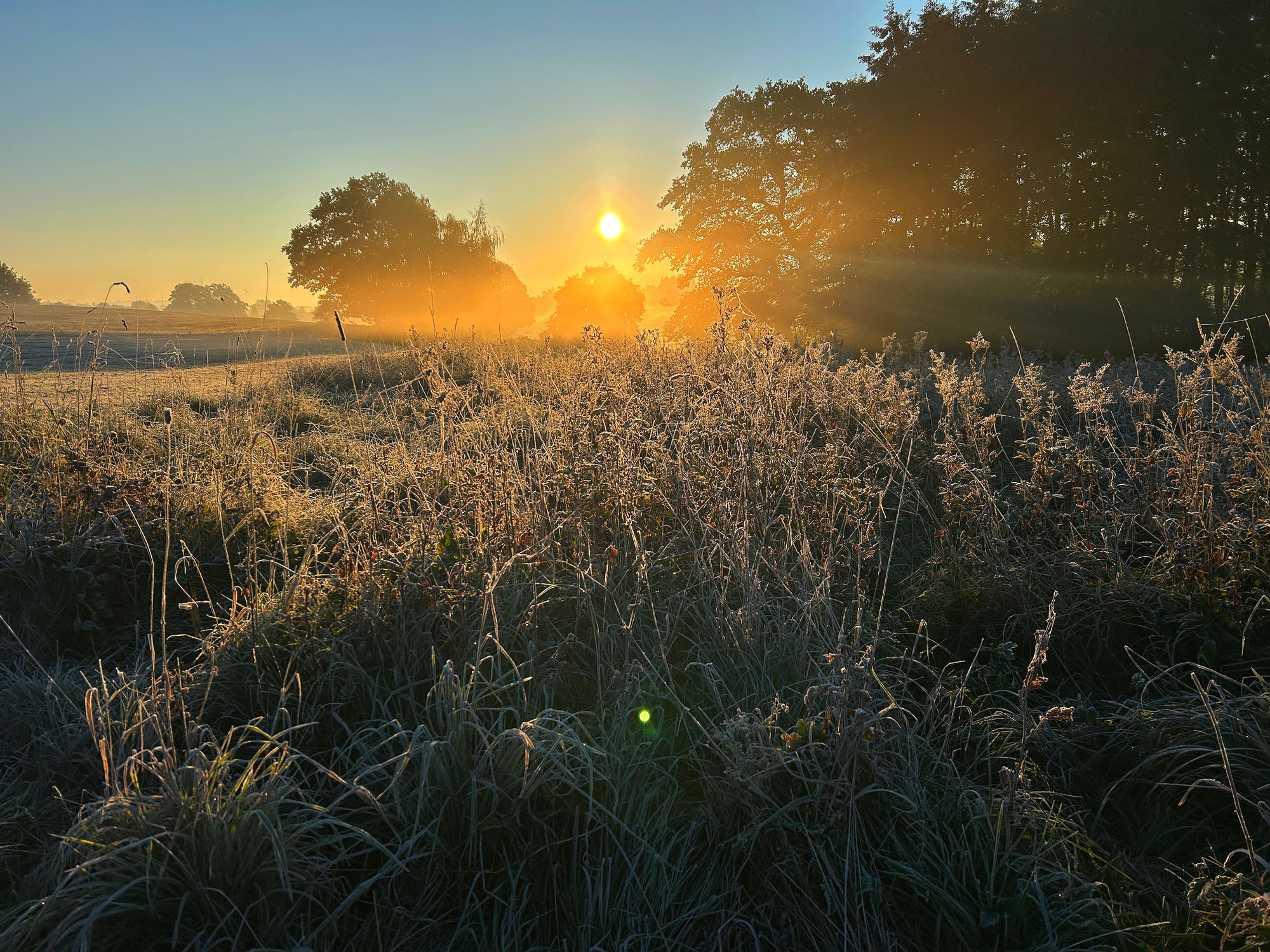 Morgenzeit