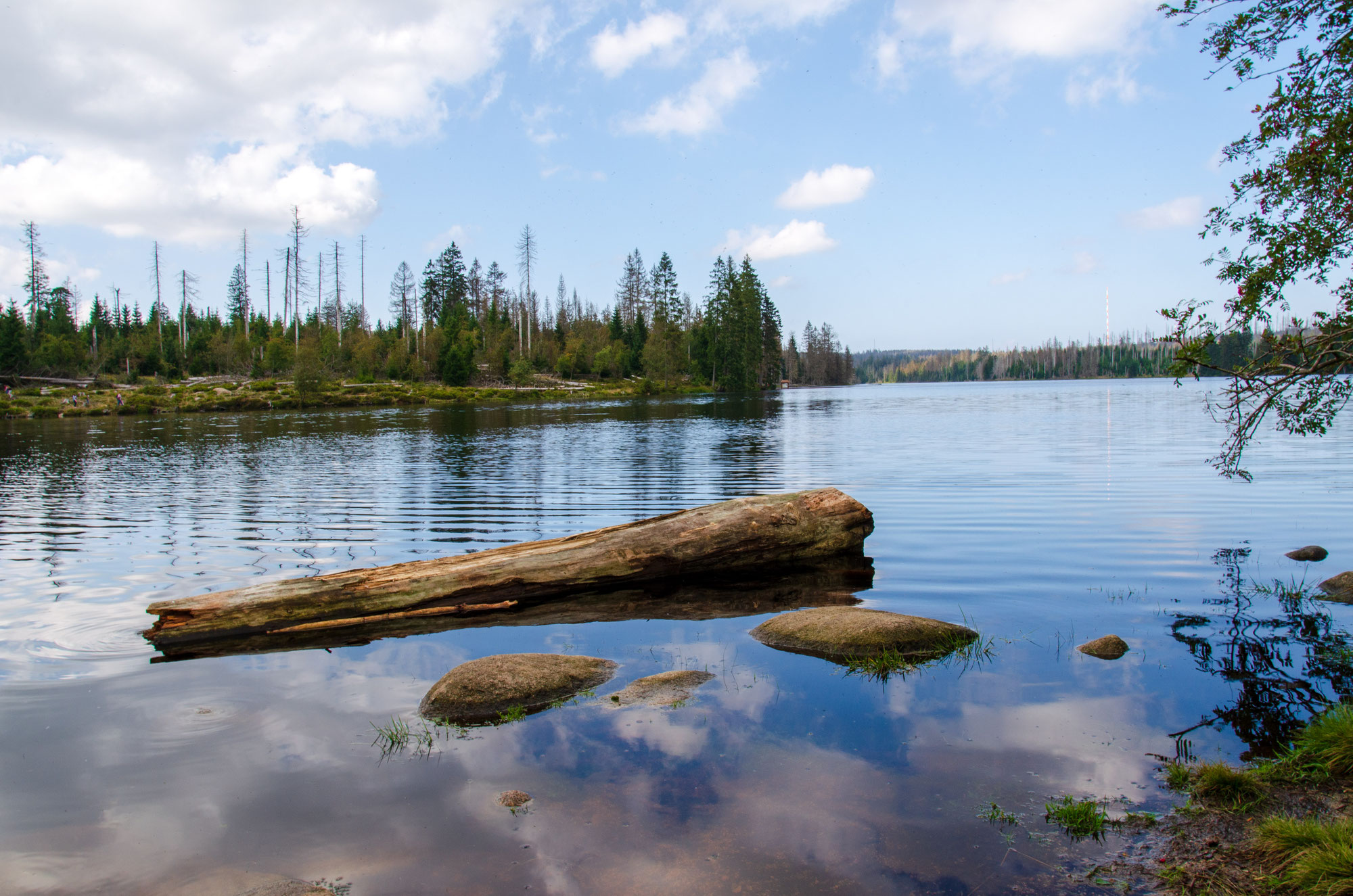 Der Oderteich
