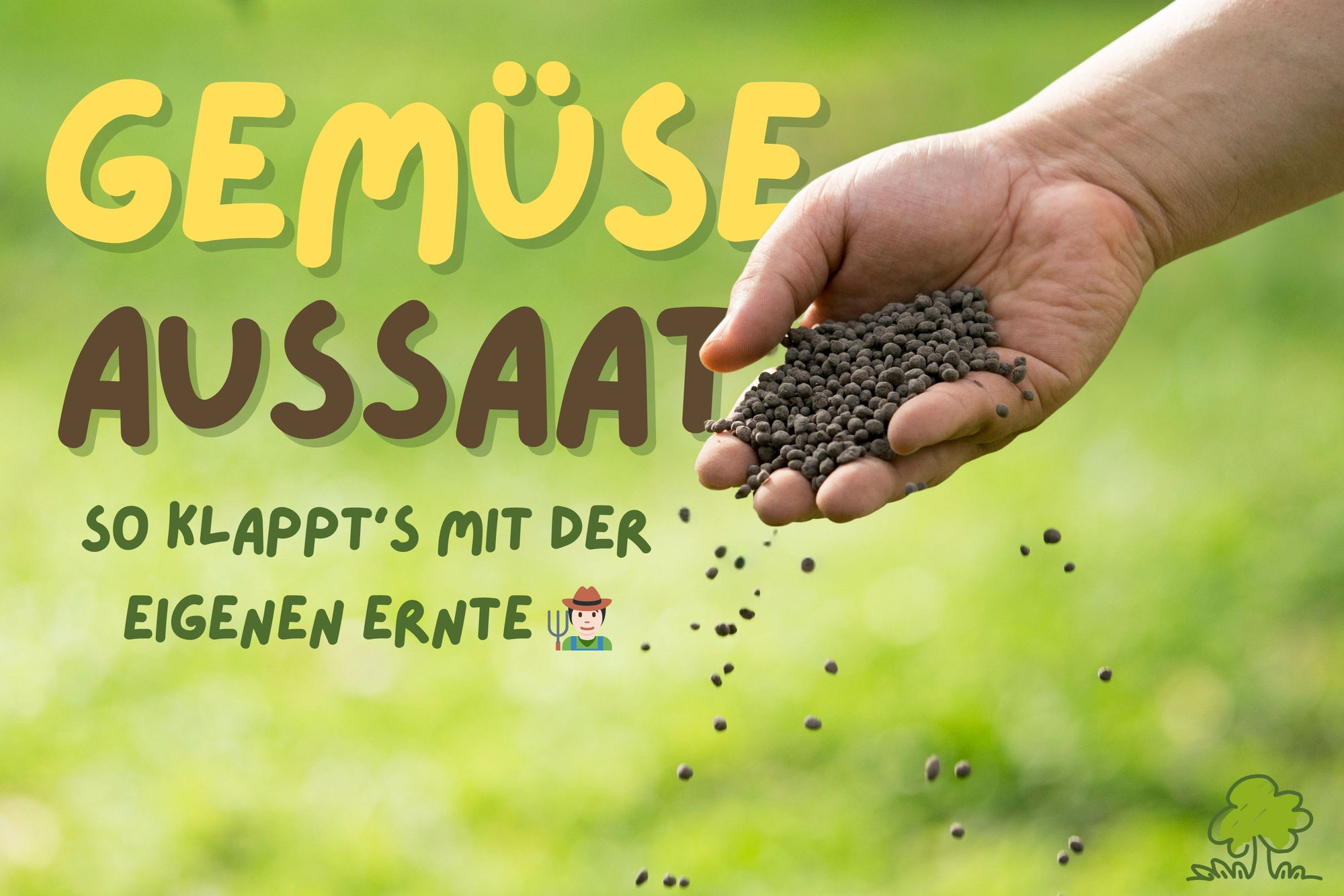 Gemüse aussäen leicht gemacht – so klappt’s mit der eigenen Ernte!
