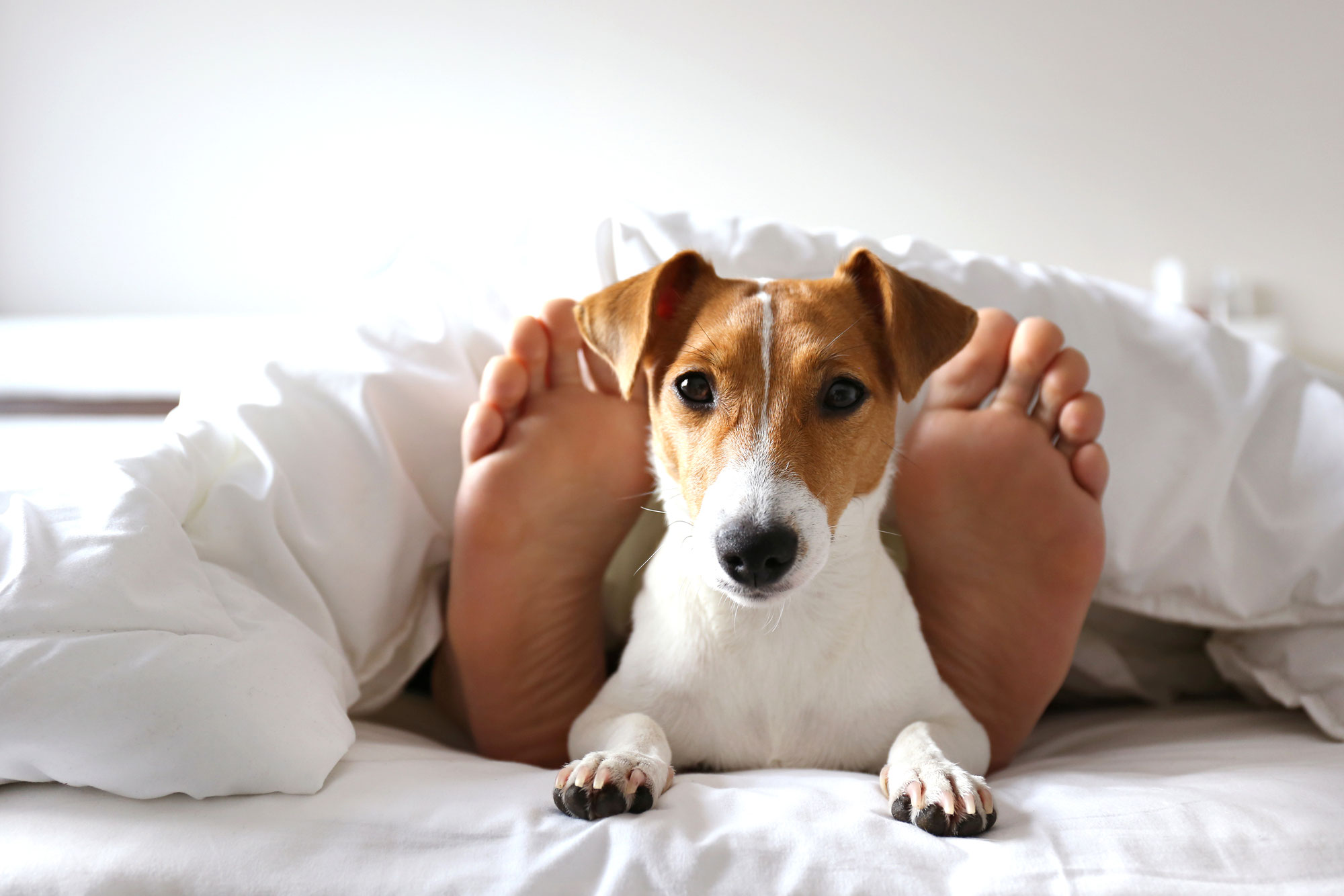 Warum passiert mir das immer wieder?