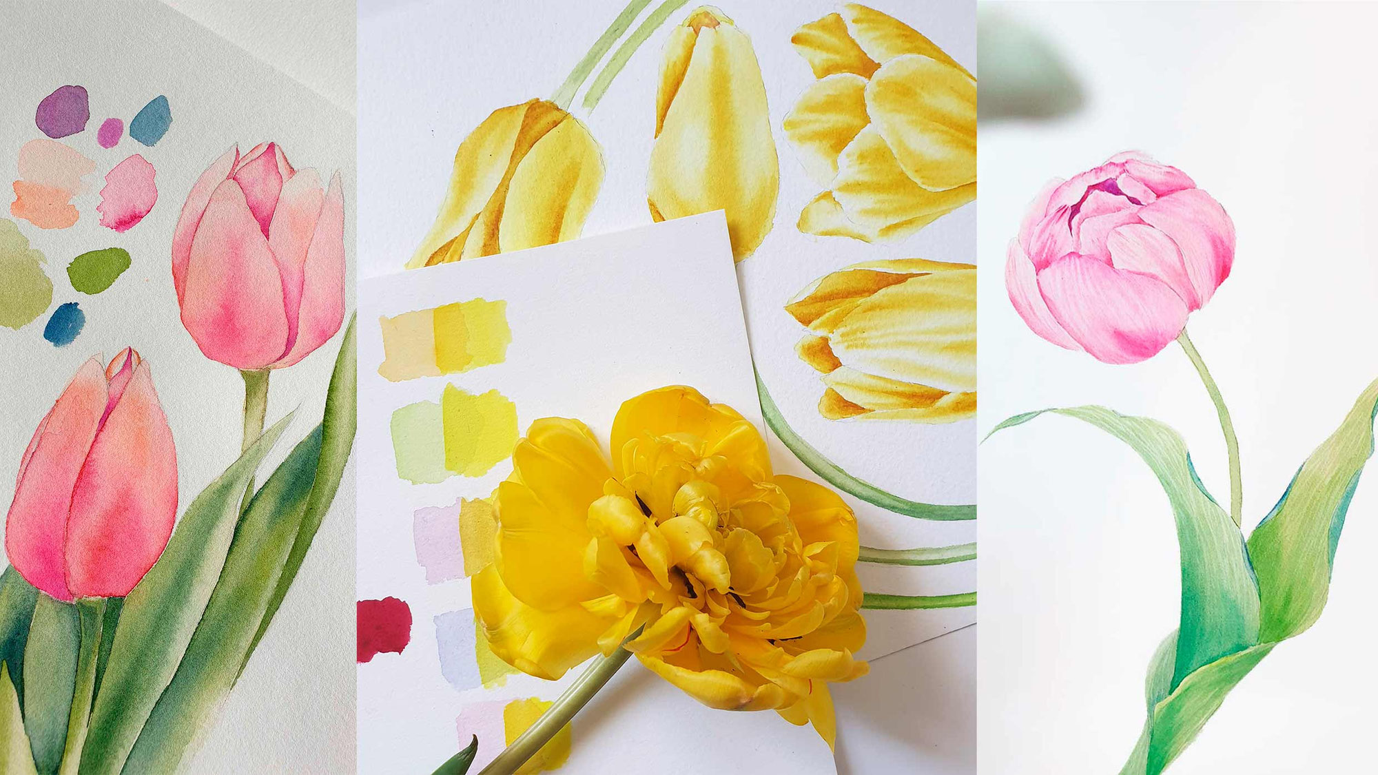 Blüten in Aquarell malen – Farben, Licht und Untertöne bewusst wahrnehmen