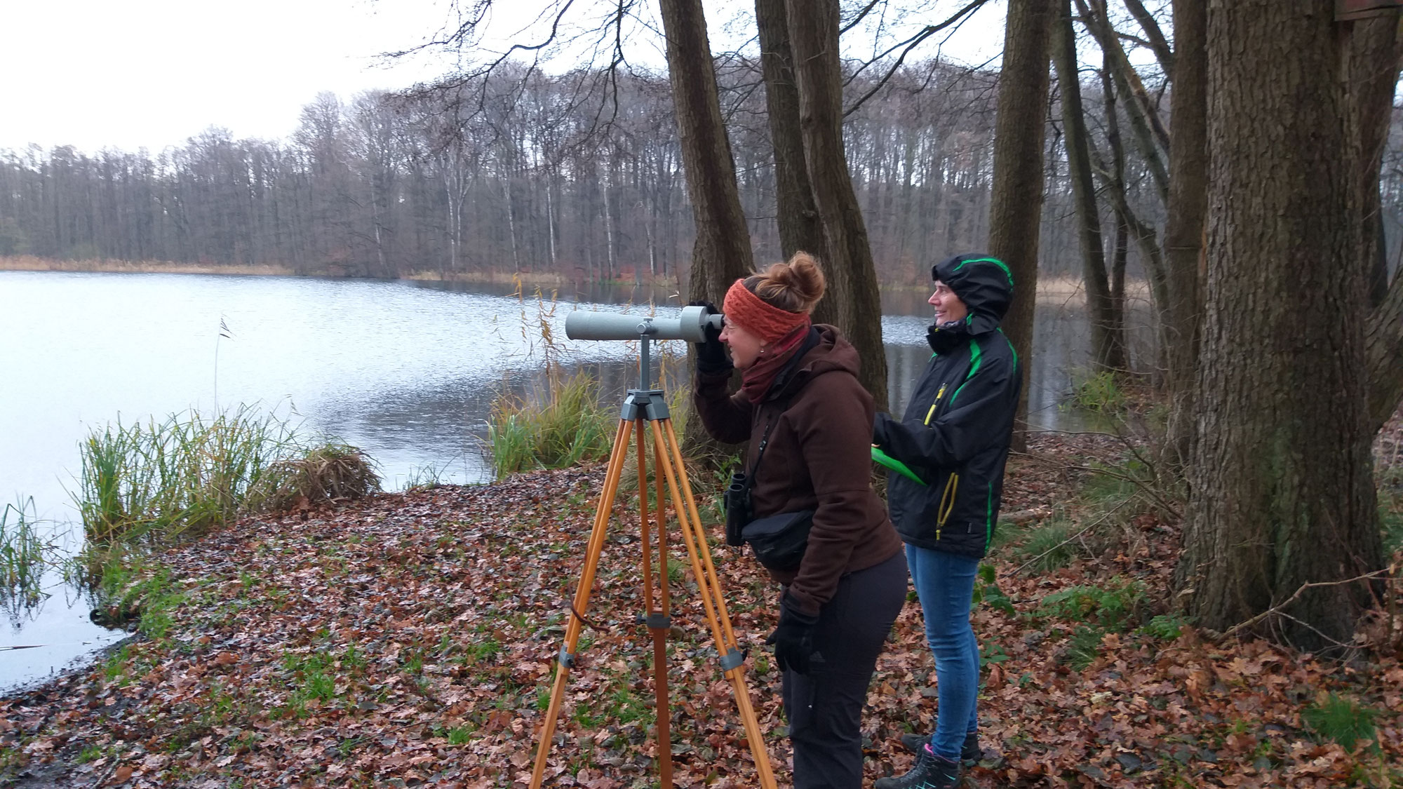 Wasservogelzählung 2025/26