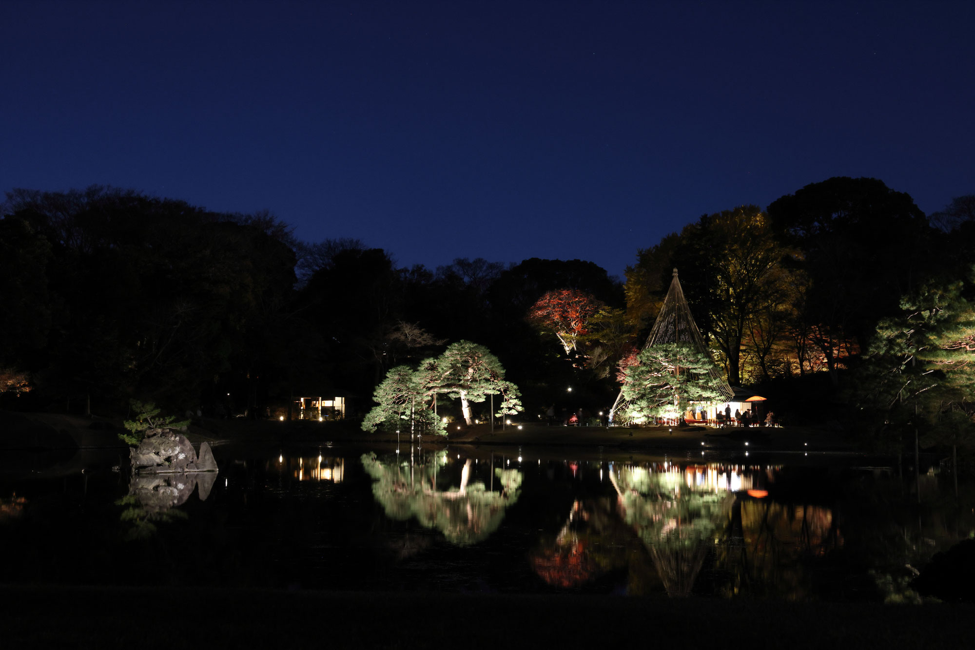 六義園ライトアップ2