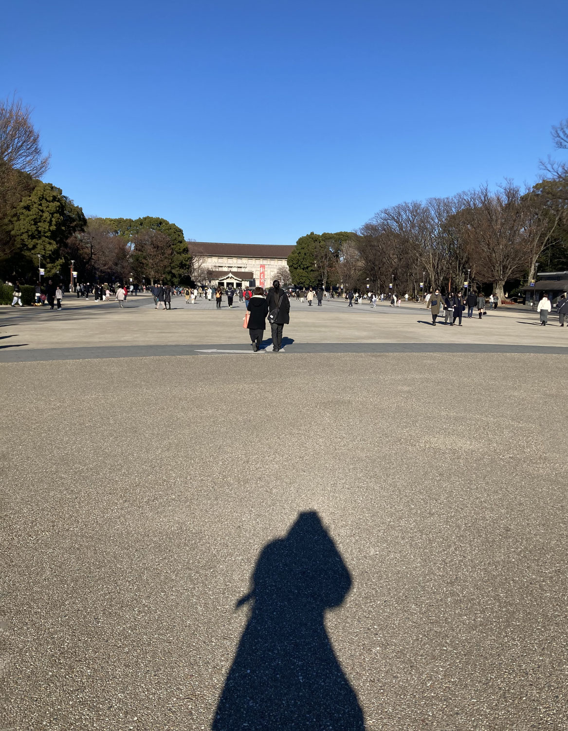 2025年のはじまりです~>゜)～～～