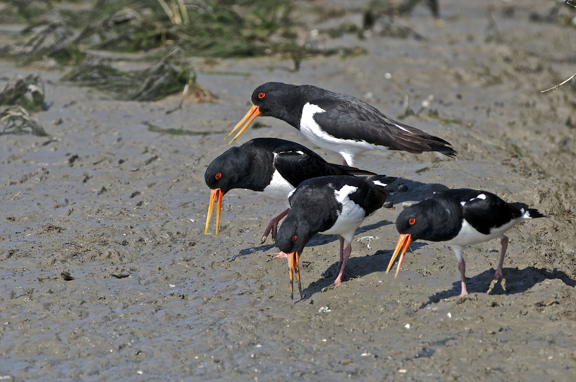 Einladung zur Mitgliederversammlung 2025