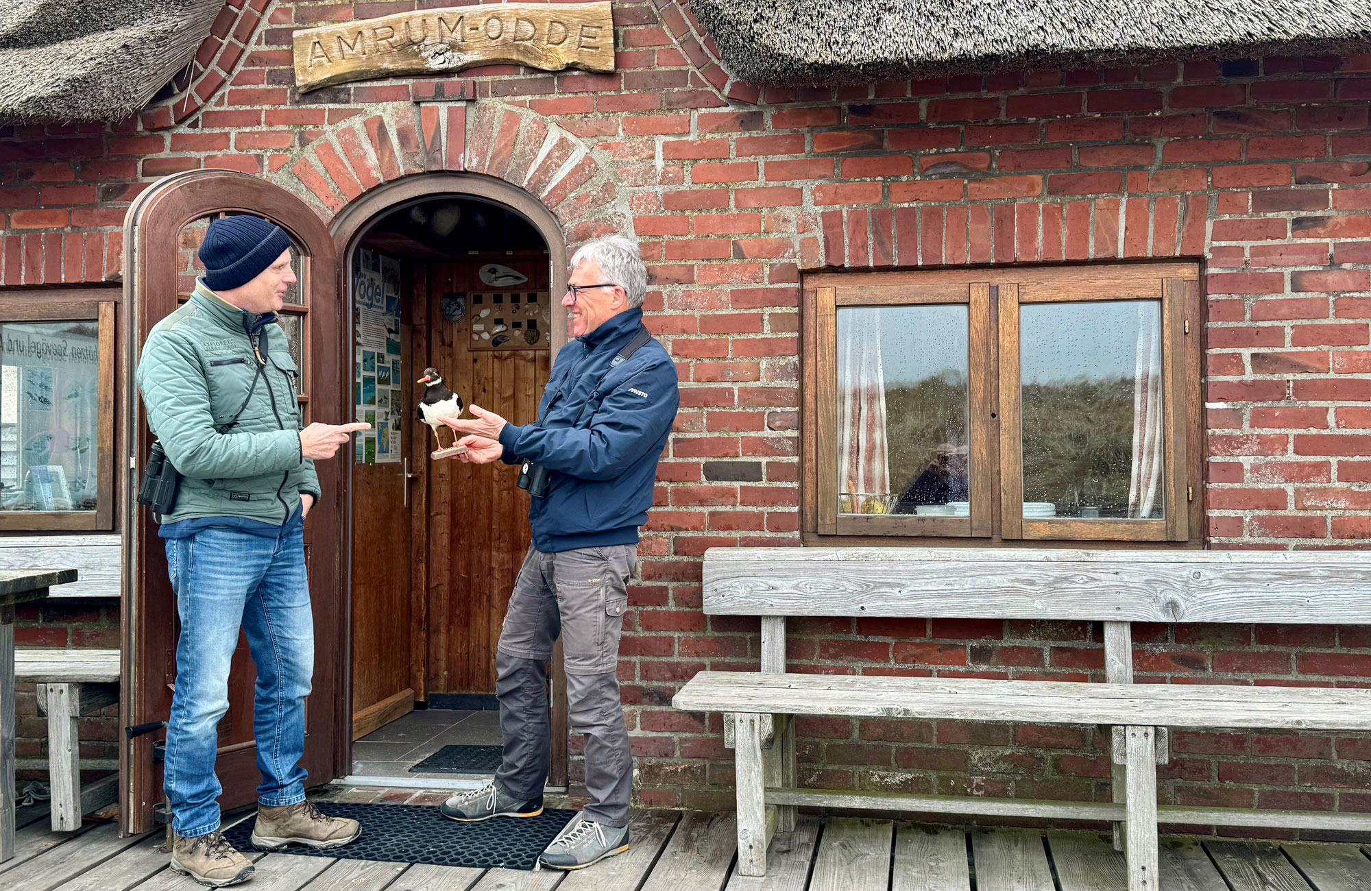 Neustart auf der Amrumer Odde