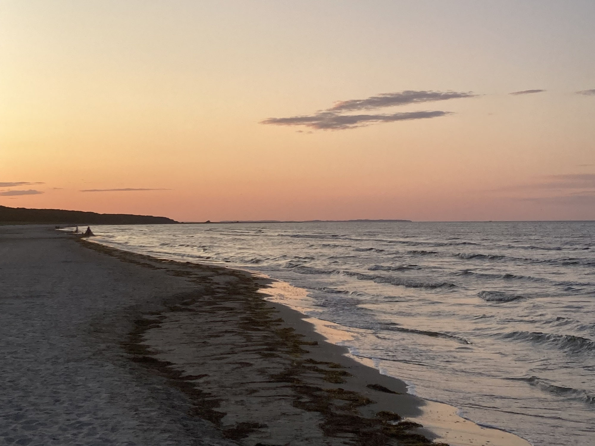 Zwei Jahre Aktionsplan Ostseeschutz - Das Bündnis der Ostsee-Naturschutzverbände zieht Bilanz