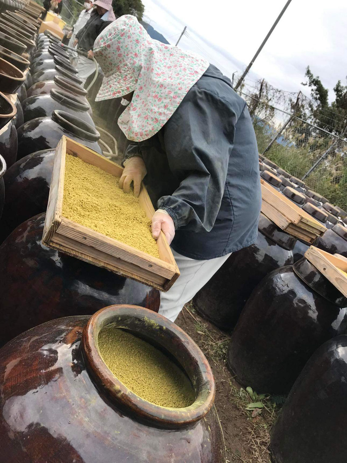 【鹿児島県　伝統食材を訪ねる　黒酢編】