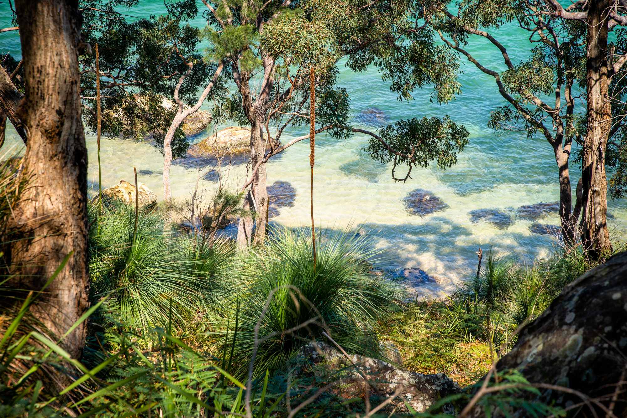 Ku-ring-gai Chase National Park – die schönsten Wanderungen und Sehenswürdigkeiten
