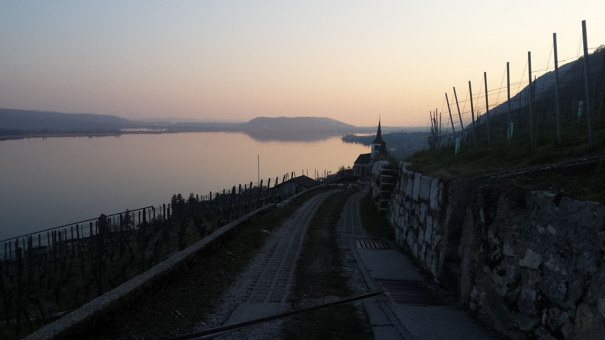 Copyright Teutsch-fc.ch (c) Teutsch-fc.ch