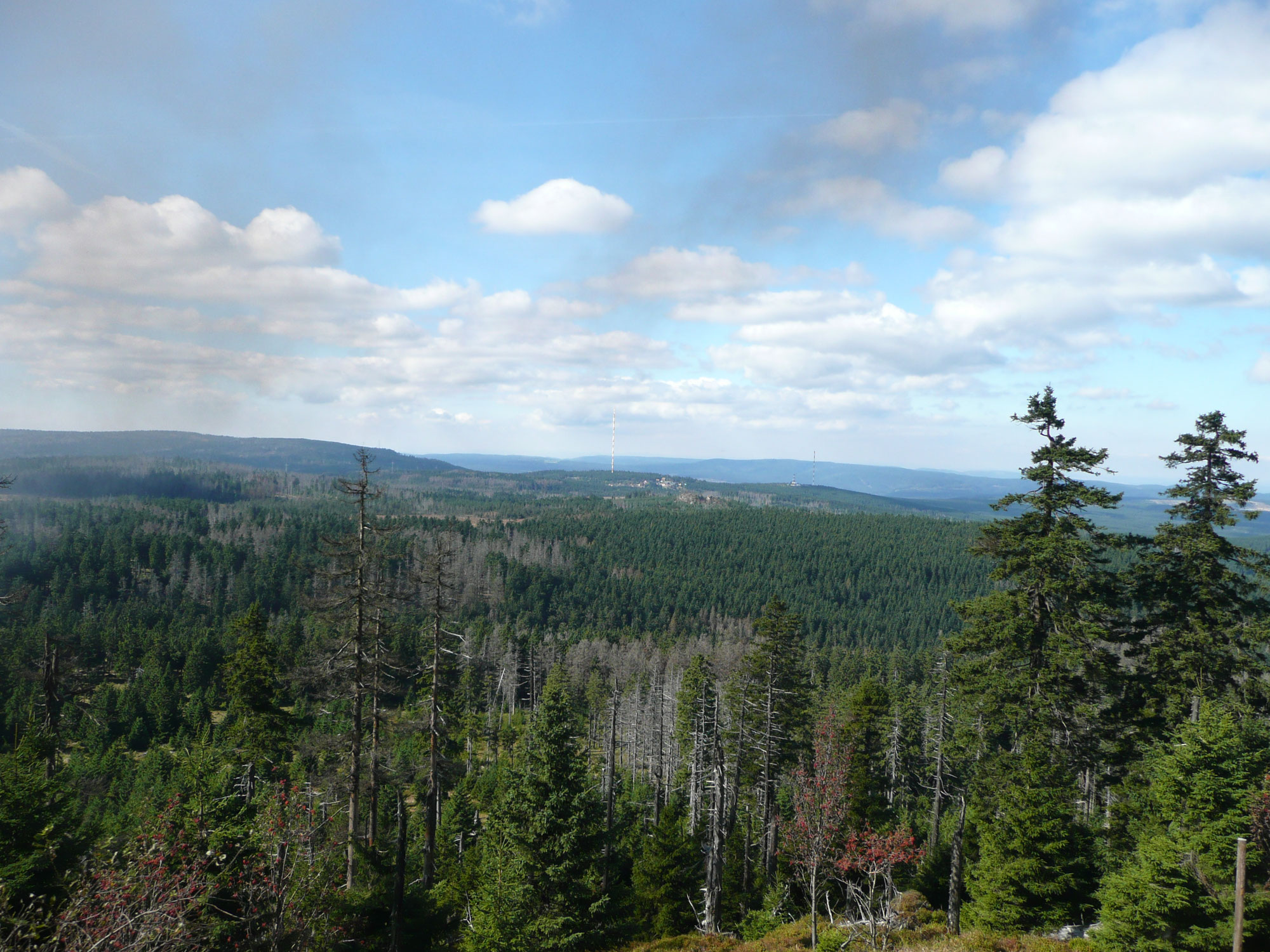 Preise - Ferienwohnung Thüringer Wald