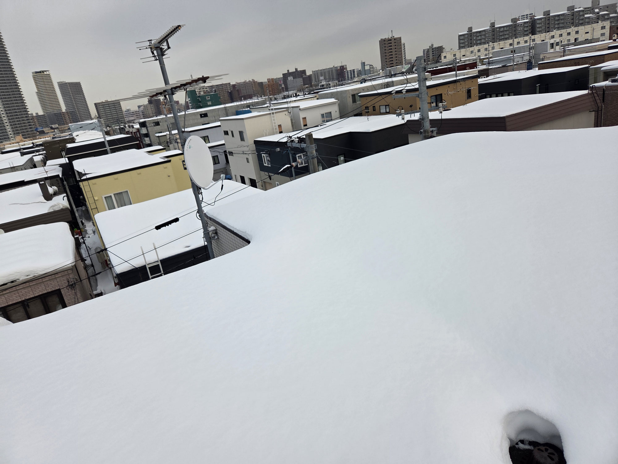定期除雪作業