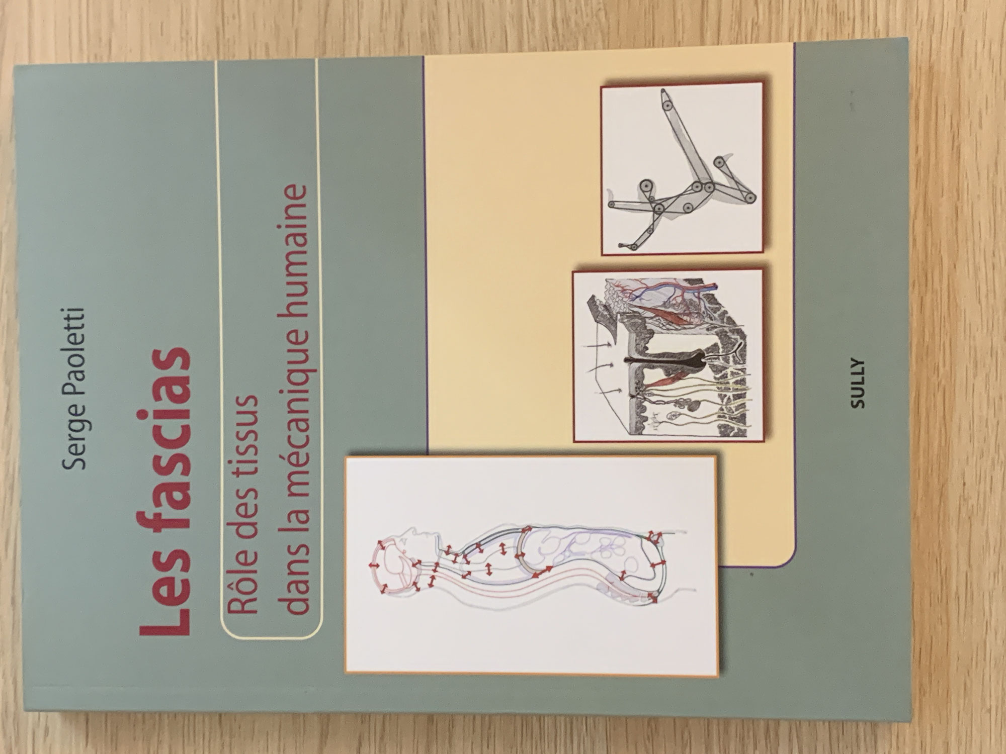 Serge Paoletti: Faszien: Anatomie, Strukturen, Techniken, Spezielle Osteopathie - Faszien Literatur Rezension#2