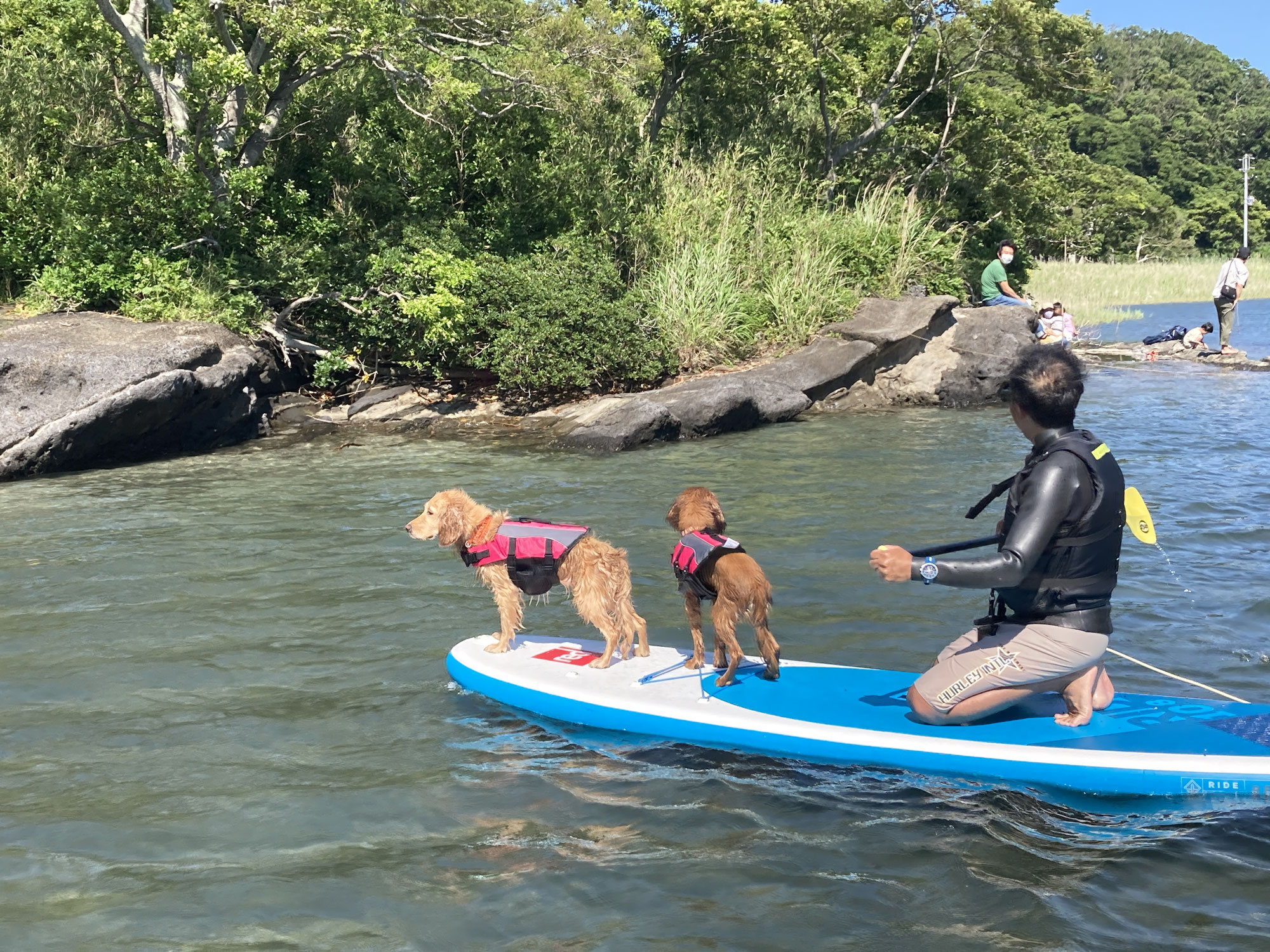Dog SUP ツアーのご案内