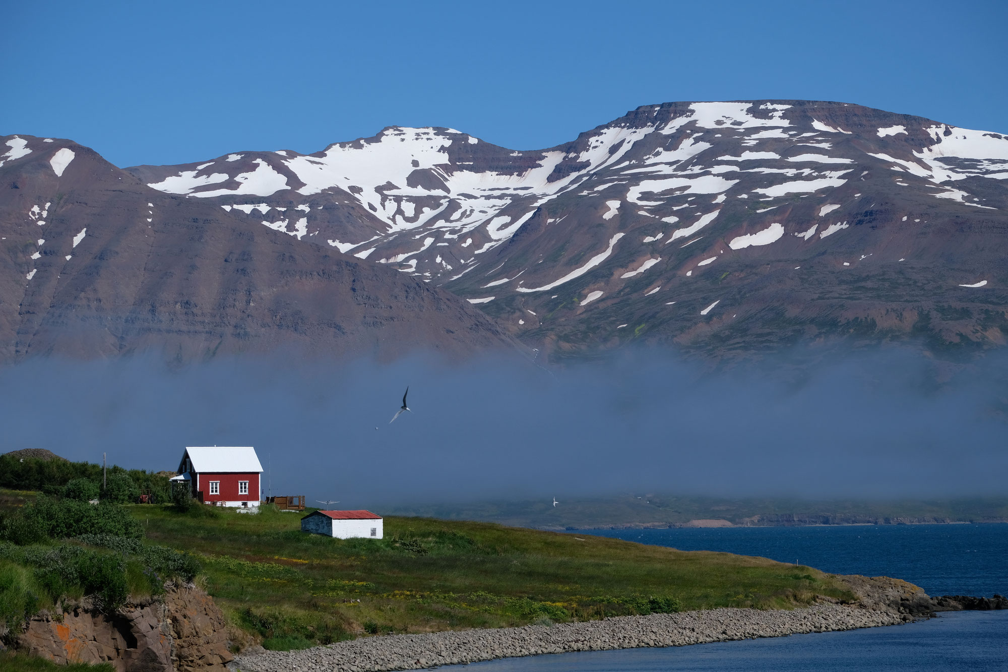 Hrisey - die Perle des Eyjafjördur