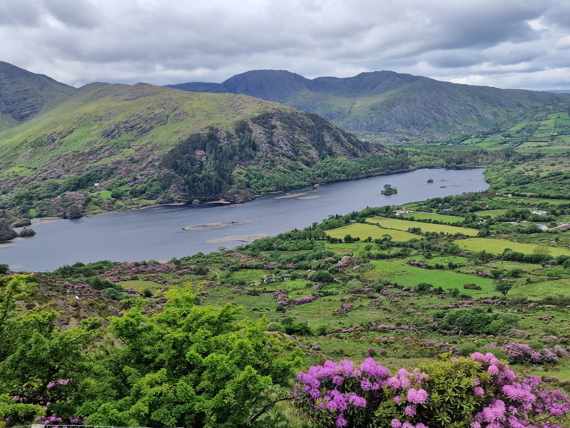 Irland 2024 - Tag 16
