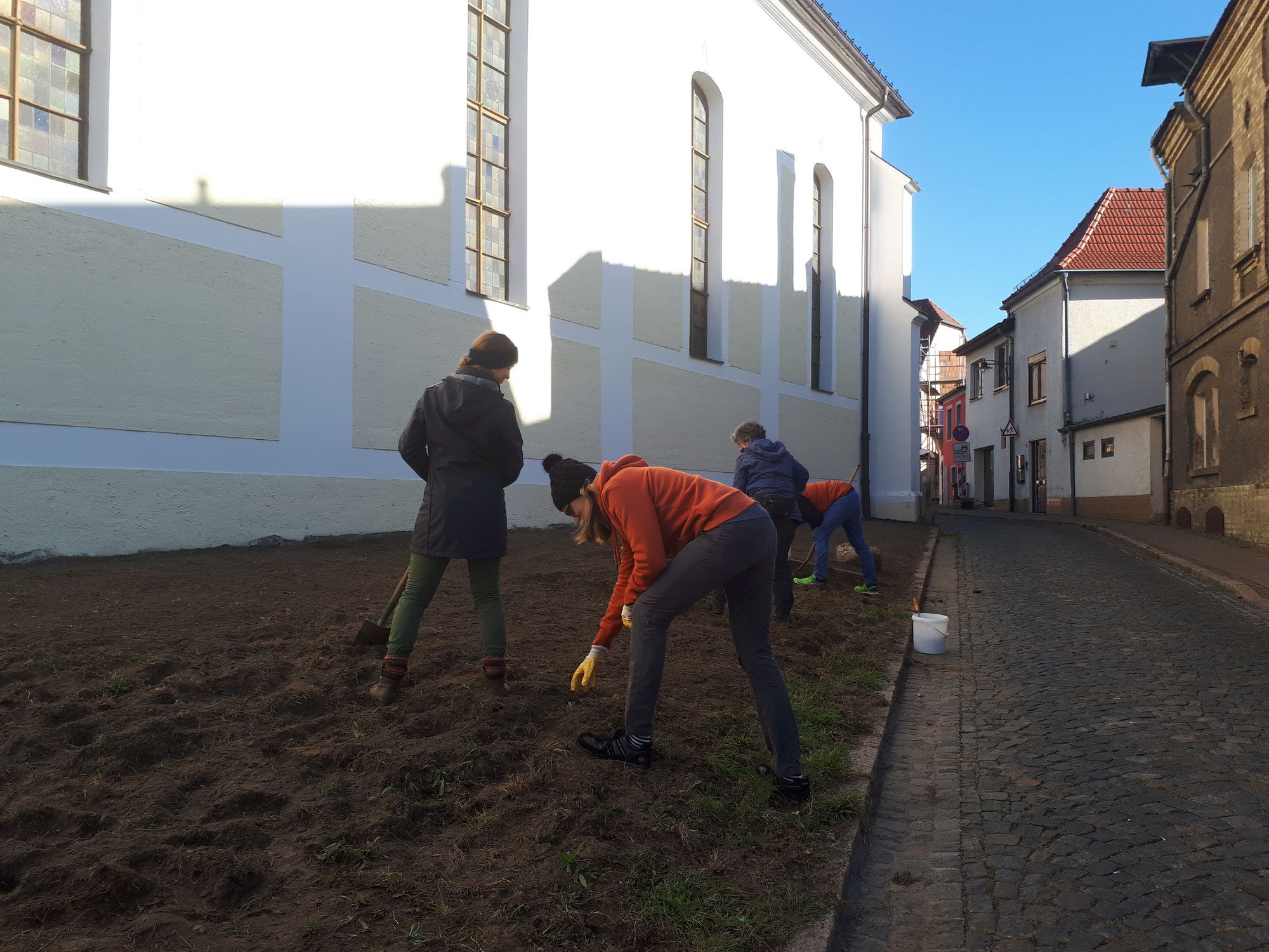 Blühwiese in Taucha- dieses Wochenende geht es weiter